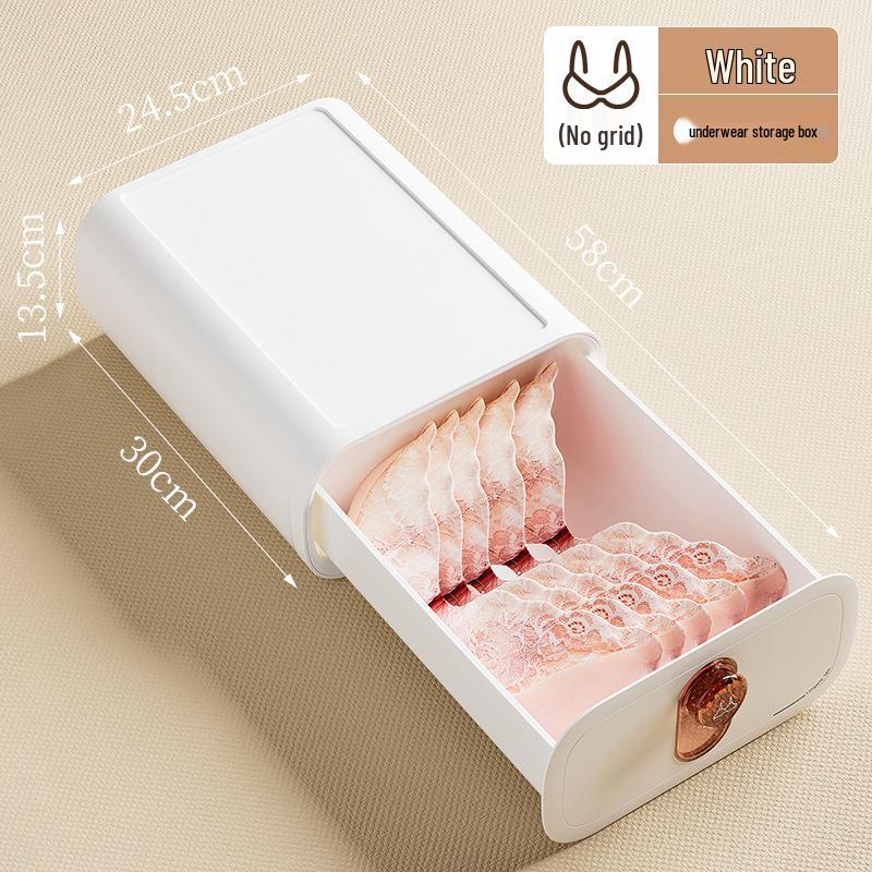 Underwear and Sock Organizer, Dustproof Wardrobe Storage Box
Underwear and Sock Organizer, Dustproof Wardrobe Storage Box