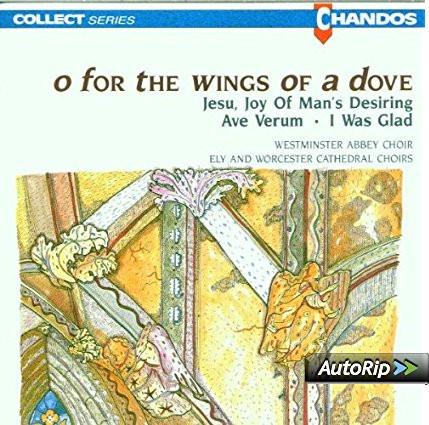 CD CHARLES VILLIERS STANFORD, EDWARD E - O for the Wings of a Dove CHAN6519 Chandos 2003 Europe ObiClassical Used
CD CHARLES VILLIERS STANFORD, EDWARD E - O for the Wings of a Dove CHAN6519 Chandos 2003 Europe ObiClassical Used