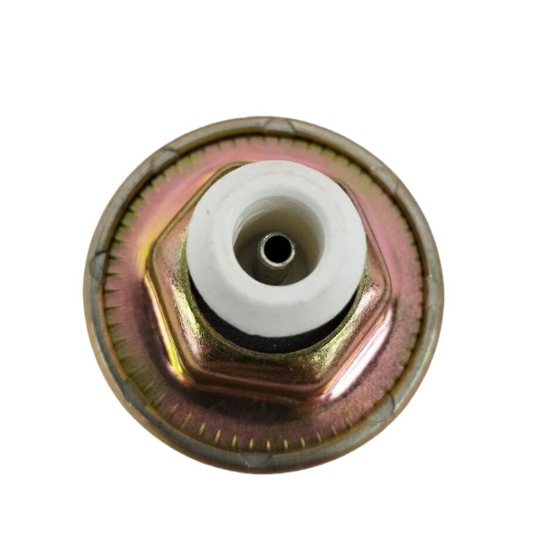 Knock sensor 10456018 10456288 1997699 213324 C910E6937F For Chevrolet MC 85-02
Knock sensor 10456018 10456288 1997699 213324 C910E6937F For Chevrolet MC 85-02