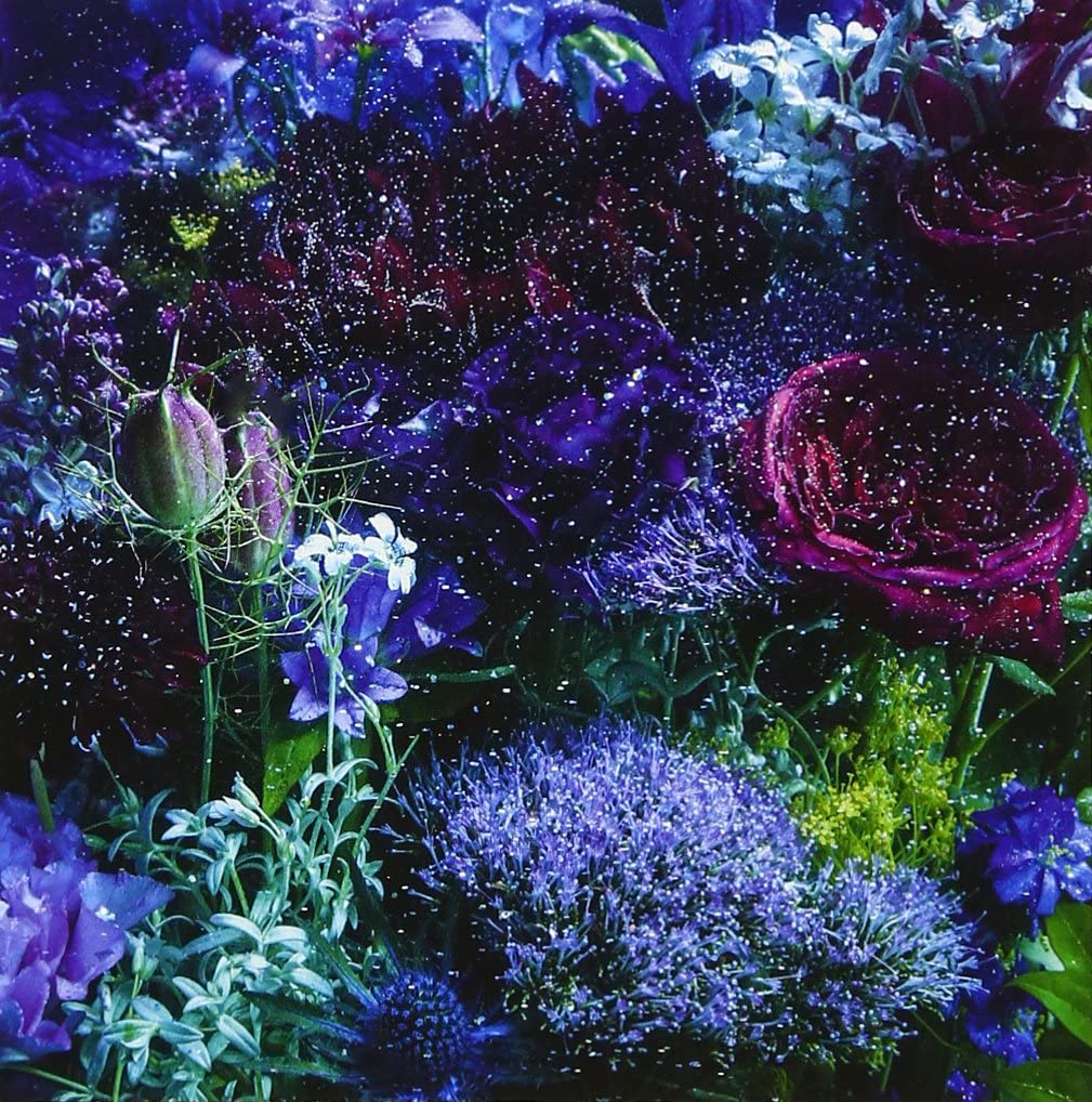 CD AIMER Anatani Deawanakerebakasetsutouka DFCL1918 2012 Japan Japanese PopRock Used
CD AIMER Anatani Deawanakerebakasetsutouka DFCL1918 2012 Japan Japanese PopRock Used