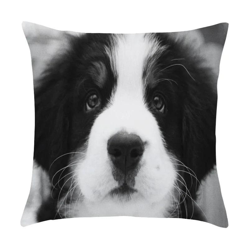 Офис Гостиная Дом Наволочка Черно-белая Художественная Фото Наволочка Украшения для Машины 40x40cm
Офис Гостиная Дом Наволочка Черно-белая Художественная Фото Наволочка Украшения для Машины 40x40cm