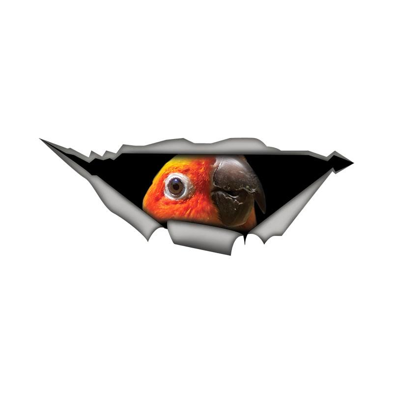 Sun Conure Parrot Car Stickers, Waterproof Vinyl Decals, for Car Windows, Car Bumper, Car Body Decorative Accessories 15cm-Longest Side
Sun Conure Parrot Car Stickers, Waterproof Vinyl Decals, for Car Windows, Car Bumper, Car Body Decorative Accessories 15cm-Longest Side