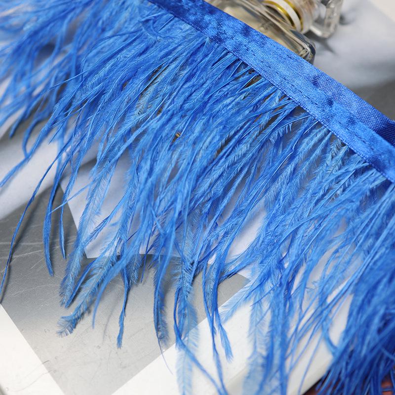 Available: Colored Ostrich Feather Ribbon (10-15cm) - DIY Tassel Fabric Edge for Clothing Accessories.
Available: Colored Ostrich Feather Ribbon (10-15cm) - DIY Tassel Fabric Edge for Clothing Accessories.