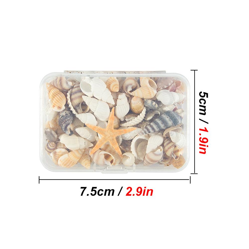 1 Box Random Mix Style Ornaments Natural Shell Conch Aquarium Landscape Tiny Sea Shell Beach Decor Fish Tank Supplies DIY Crafts
1 Box Random Mix Style Ornaments Natural Shell Conch Aquarium Landscape Tiny Sea Shell Beach Decor Fish Tank Supplies DIY Crafts