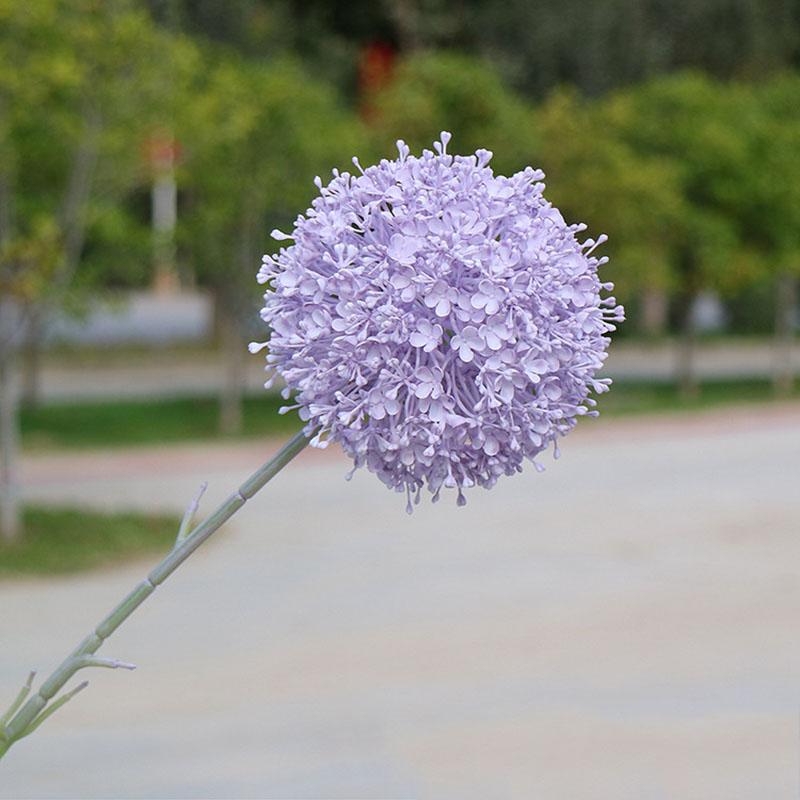 Single Emperor Milan Onion Ball Simulation Flower Autumn Wedding Hall Soft Fake Plant Large Hydrangea Home Outdoor Garden 1pc фиолетовый
Single Emperor Milan Onion Ball Simulation Flower Autumn Wedding Hall Soft Fake Plant Large Hydrangea Home Outdoor Garden 1pc фиолетовый
