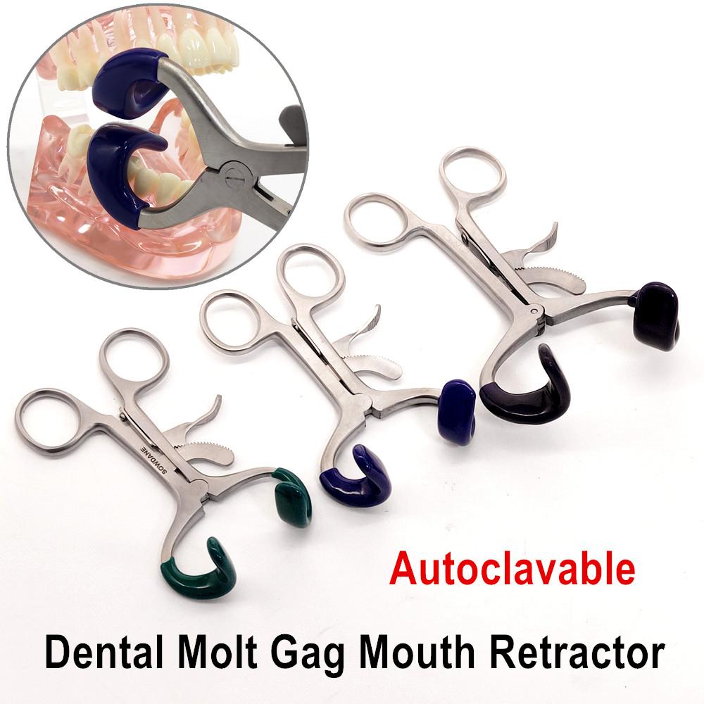 Стоматологічний ортодонтичний Molt Gag Mouth Retractor із силіконовою прокладкою Відкривач для рота з нержавіючої сталі Зубний імплант Інструмент для розтягування рота 1 piece Large
Стоматологічний ортодонтичний Molt Gag Mouth Retractor із силіконовою прокладкою Відкривач для рота з нержавіючої сталі Зубний імплант Інструмент для розтягування рота 1 piece Large