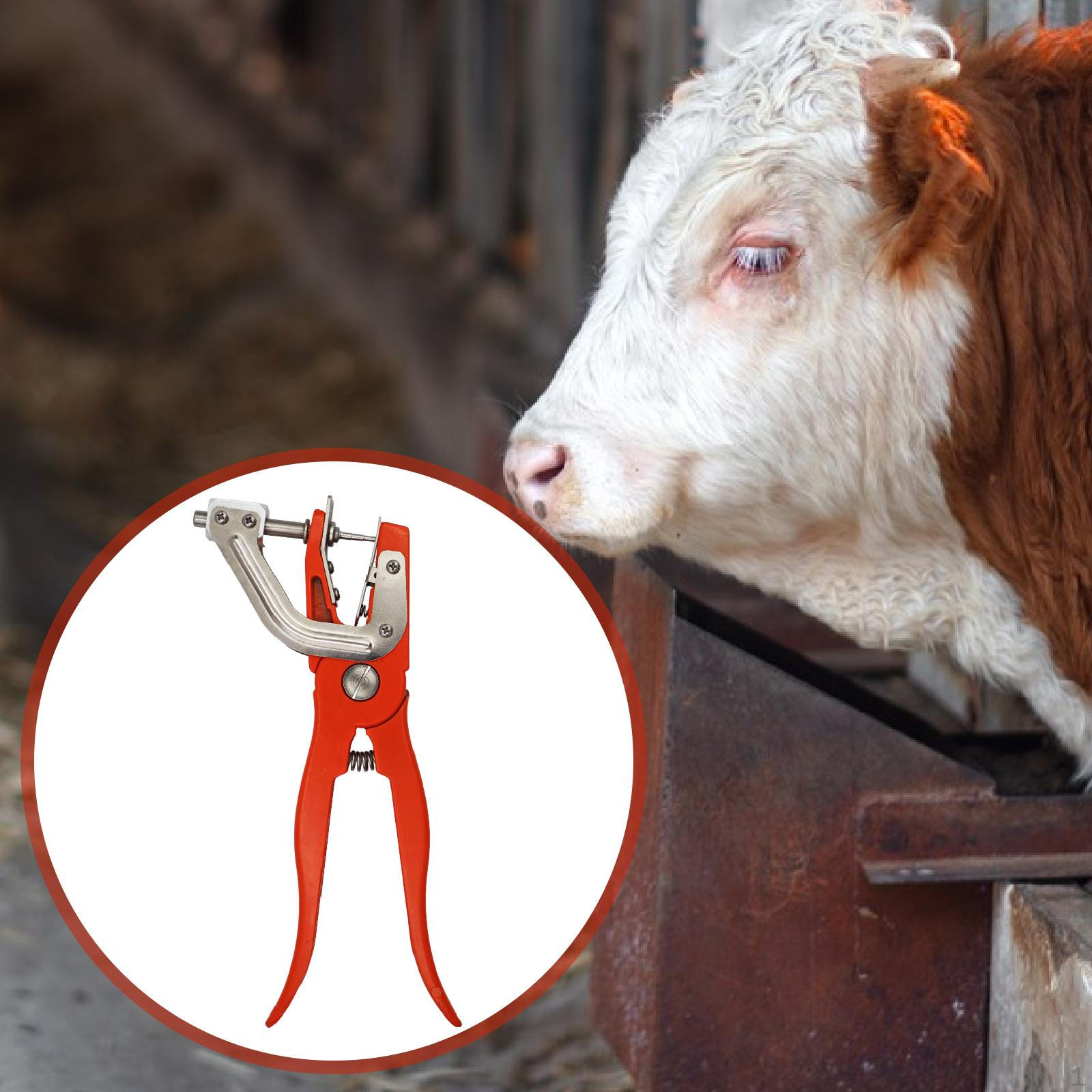 Аппликатор для ушных бирок для скота Портативные клещи для животных коз крупного рогатого скота
Аппликатор для ушных бирок для скота Портативные клещи для животных коз крупного рогатого скота