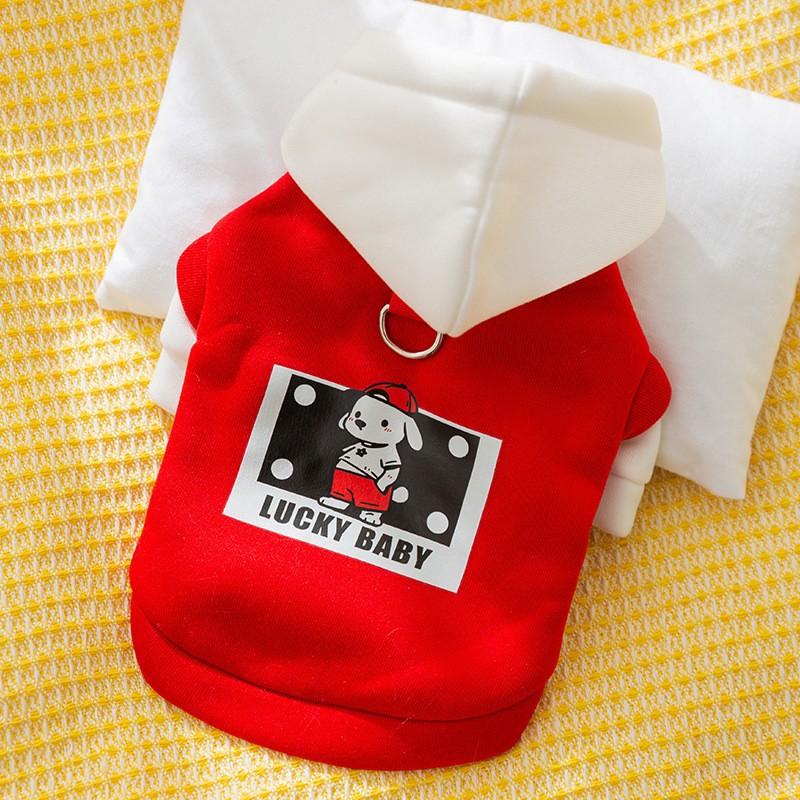 Hooded Bigbear Sweater Thin Autumn and Winter Traction Cat Teddy Bigbear Yorkshire Puppy Dog Pet Clothing XL (recommended weight 11-7.5 kg)
Hooded Bigbear Sweater Thin Autumn and Winter Traction Cat Teddy Bigbear Yorkshire Puppy Dog Pet Clothing XL (recommended weight 11-7.5 kg)