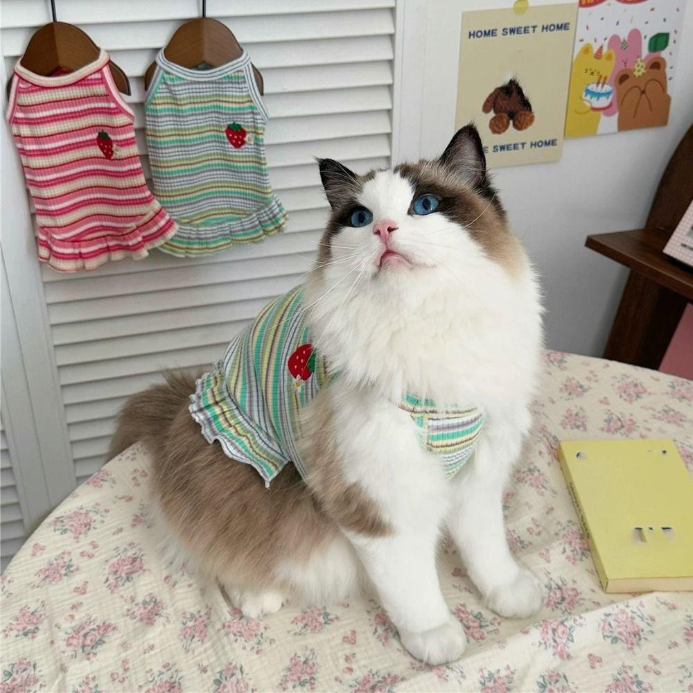 Cotton Pet Clothes Soft Dog Vest Pet Supplies Cat Skirt For Puppy Kittens XL зелёный
Cotton Pet Clothes Soft Dog Vest Pet Supplies Cat Skirt For Puppy Kittens XL зелёный