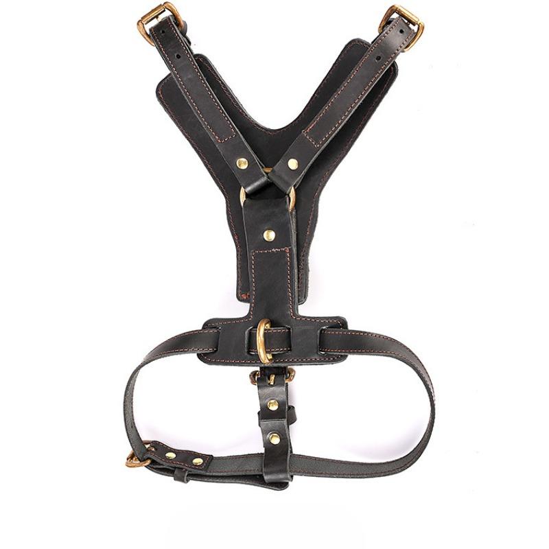 Товары для питомцев Собачий автоматический поводок Нагрудный ремень Комплект Поводок для питомца
Товары для питомцев Собачий автоматический поводок Нагрудный ремень Комплект Поводок для питомца