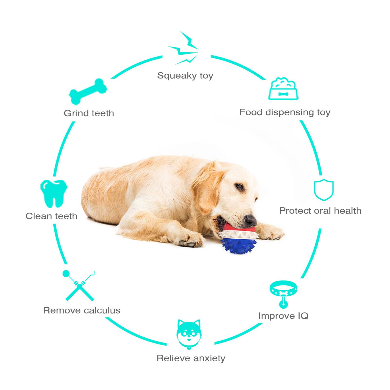 TTQ-01 Pet Dog Treat Ball Feed Dispenser Tooth Cleaning Bounce Toy (BPA Free,CPC/FDA/RoHS Certified) Red+White+Blue
TTQ-01 Pet Dog Treat Ball Feed Dispenser Tooth Cleaning Bounce Toy (BPA Free,CPC/FDA/RoHS Certified) Red+White+Blue