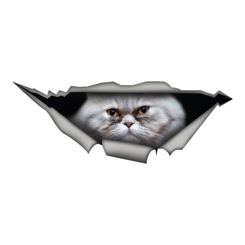 Cute Persian Cat Car Decals Bumper Window Animal Stickers Car Accessories Waterproof Vinyl Material 15cm-Longest Side
Cute Persian Cat Car Decals Bumper Window Animal Stickers Car Accessories Waterproof Vinyl Material 15cm-Longest Side