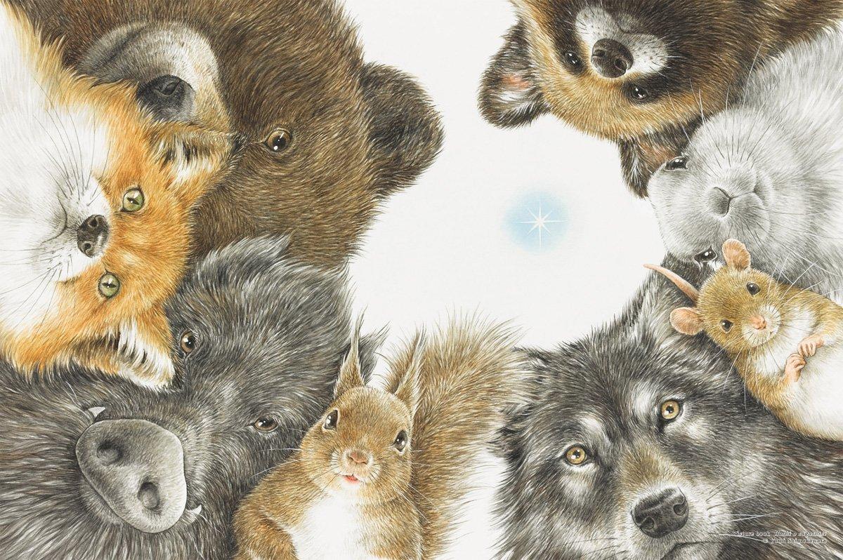 1000-piece jigsaw puzzle: Yumi Shimokawa Looking for Stars (50x75cm)
1000-piece jigsaw puzzle: Yumi Shimokawa Looking for Stars (50x75cm)