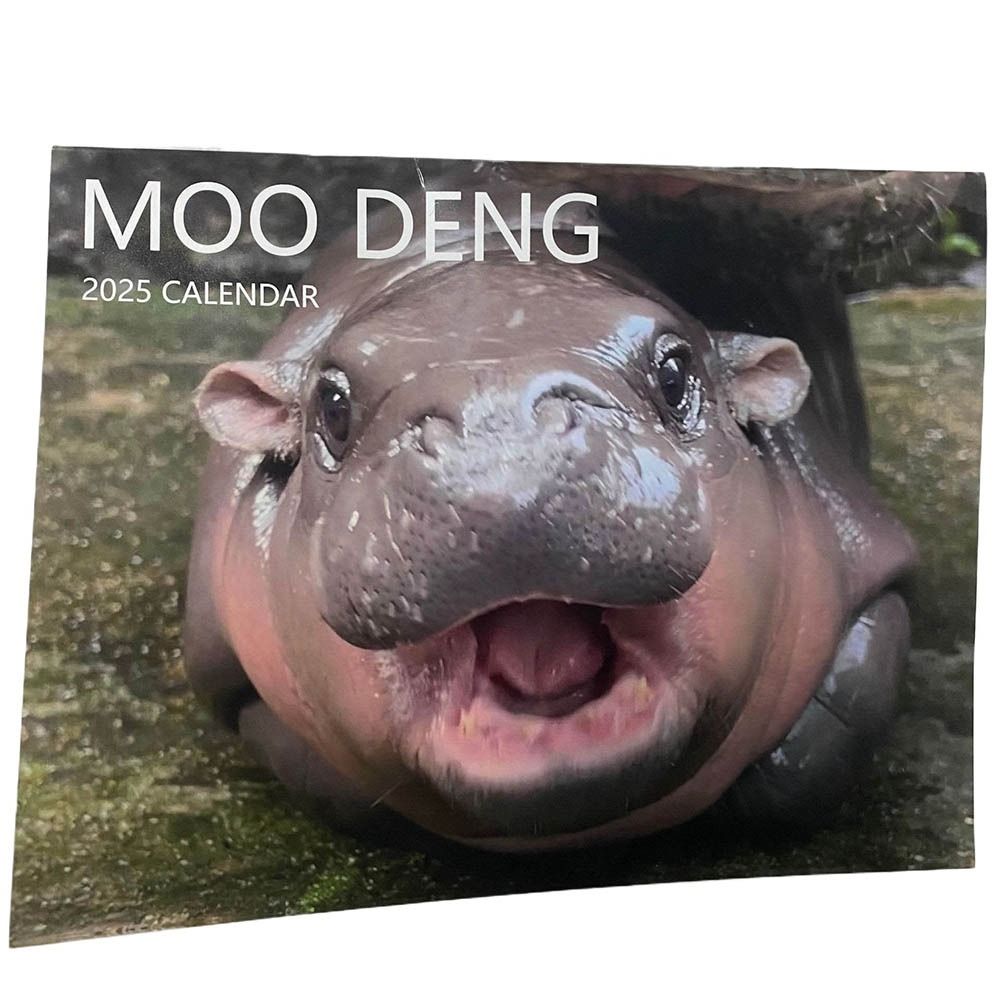 Paper 2025 Calendar Hanging Wall Calendar New Moo Deng Calendar for Home Office Moo Deng
Paper 2025 Calendar Hanging Wall Calendar New Moo Deng Calendar for Home Office Moo Deng