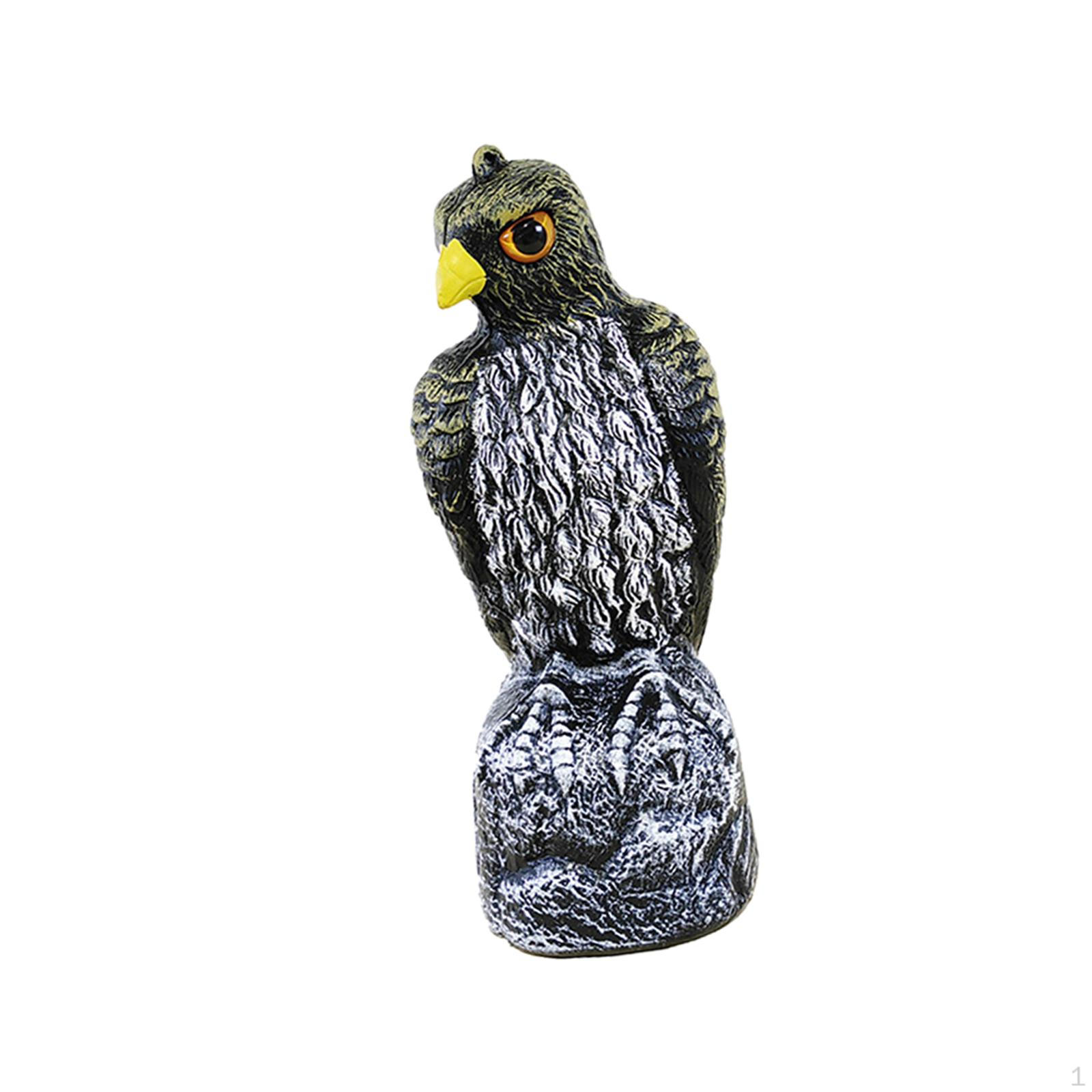 Creative Eagle Scarecrow Decoy Statue for Farms, Porches, Patios And Outdoors. Style C
Creative Eagle Scarecrow Decoy Statue for Farms, Porches, Patios And Outdoors. Style C