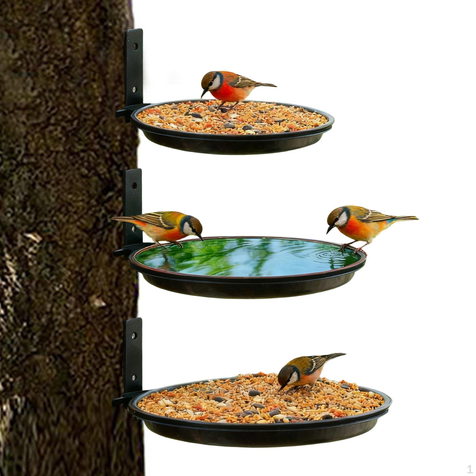 3Pcs Wall Mount Bird Feeder Water Tray with Metal Holder Bath Birdfeeder for Outside Courtyard
3Pcs Wall Mount Bird Feeder Water Tray with Metal Holder Bath Birdfeeder for Outside Courtyard