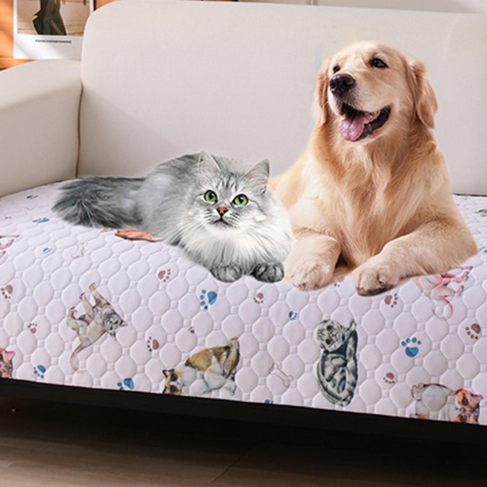 Washable Potty Pads For Dogs Absorbent Sheet Protector Reusable Dog Pee Pad For Bunny Puppy Elderly Kitten Cat Medium Large M
Washable Potty Pads For Dogs Absorbent Sheet Protector Reusable Dog Pee Pad For Bunny Puppy Elderly Kitten Cat Medium Large M