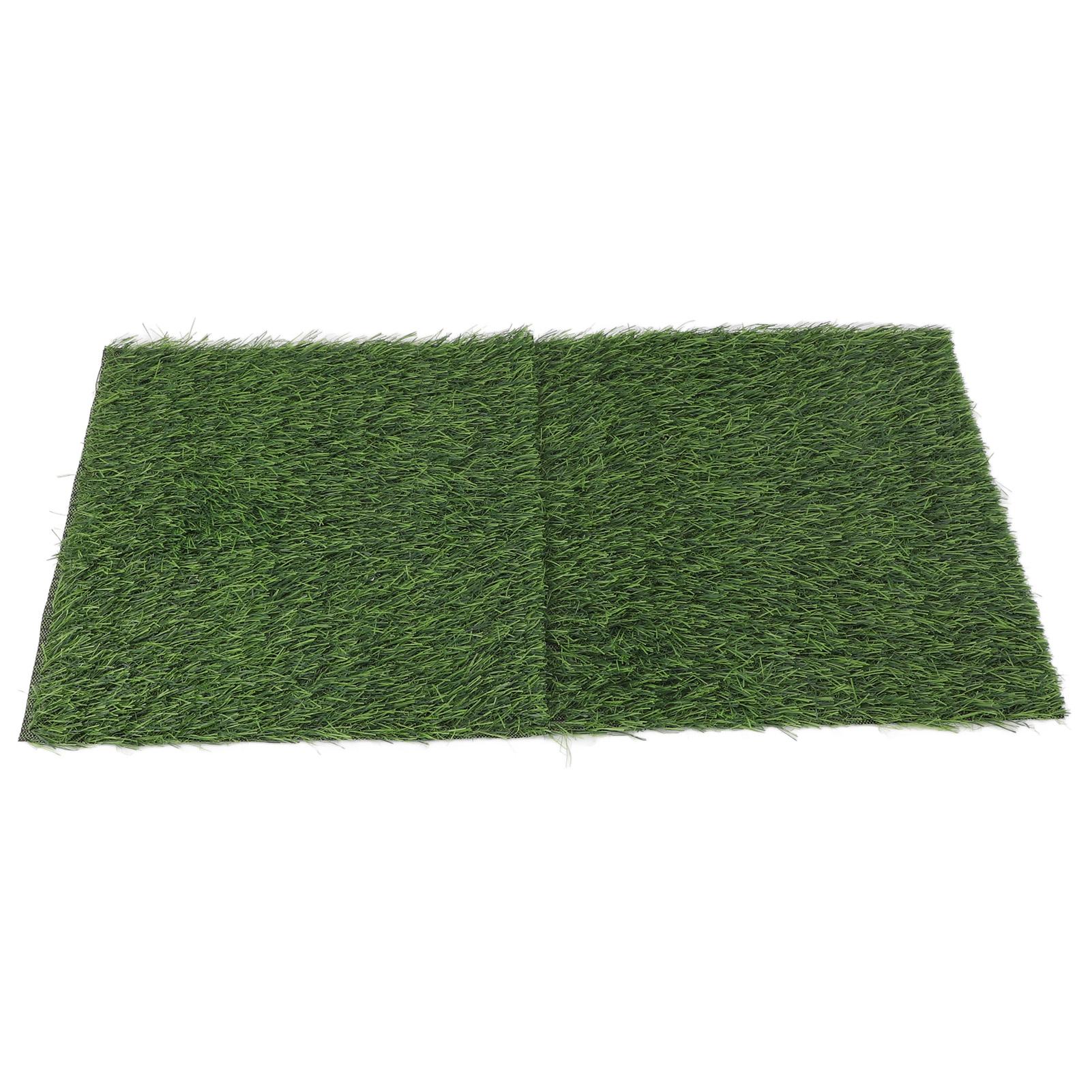 6 Pack Chicken Nesting Pads, Washable Thicken Artificia Grass Nesting Box Liners Reusable Hens Bedding Artificial Grass Rug Carpet Fake Synthetic Turf
6 Pack Chicken Nesting Pads, Washable Thicken Artificia Grass Nesting Box Liners Reusable Hens Bedding Artificial Grass Rug Carpet Fake Synthetic Turf