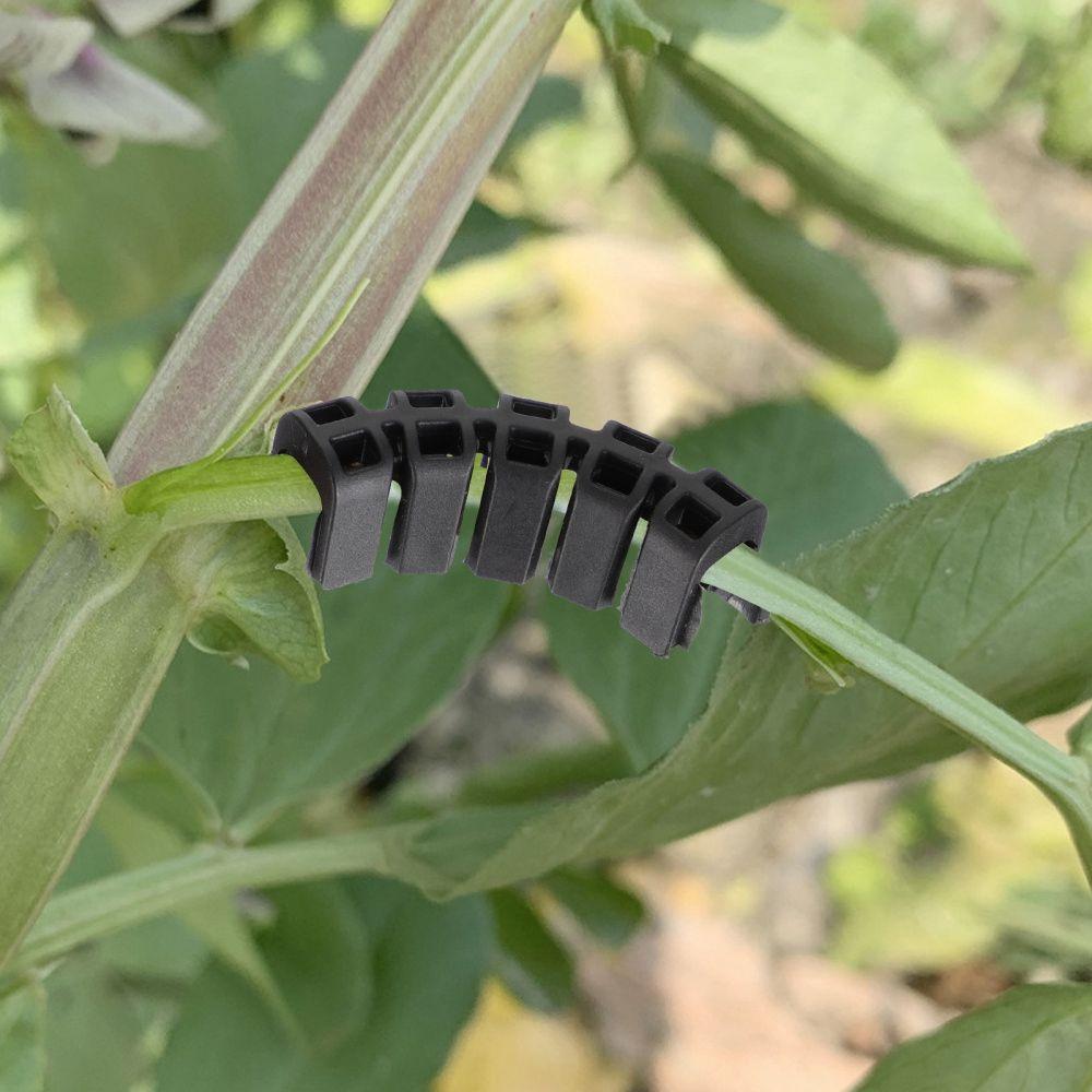 Plant Training Low Stress Plant Bender Tomato Holder Plant Support Tomato Reinforcing Clips 100PCS
Plant Training Low Stress Plant Bender Tomato Holder Plant Support Tomato Reinforcing Clips 100PCS