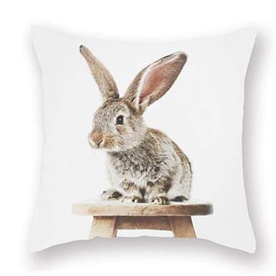 Decorative Pillowcase Cute Gray Rabbit on White Background Decorative Pillow Cover Bedroom Sofa Square 40X40cm
Decorative Pillowcase Cute Gray Rabbit on White Background Decorative Pillow Cover Bedroom Sofa Square 40X40cm
