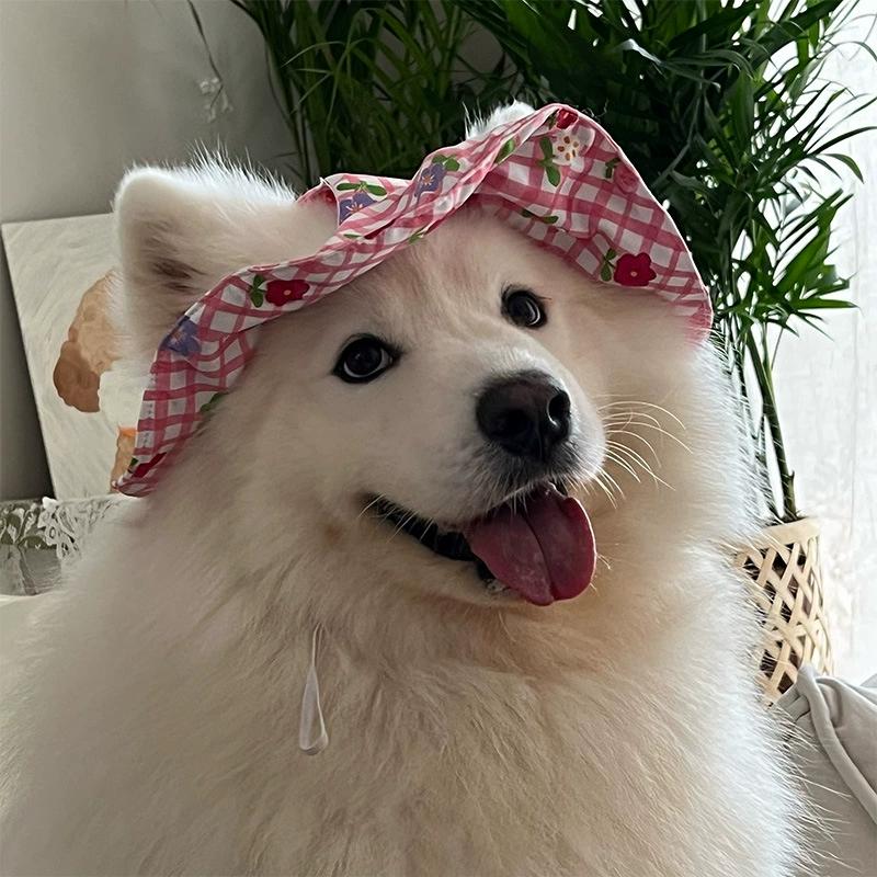 1pc Cute Polyester Wind-Resistant Sun Hat, Ear-Exposed Design, Anti-Shedding, Adjustable Sun Protection, Suitable For Small Pet Dogs To Wear Outdoors L рожевий
1pc Cute Polyester Wind-Resistant Sun Hat, Ear-Exposed Design, Anti-Shedding, Adjustable Sun Protection, Suitable For Small Pet Dogs To Wear Outdoors L рожевий