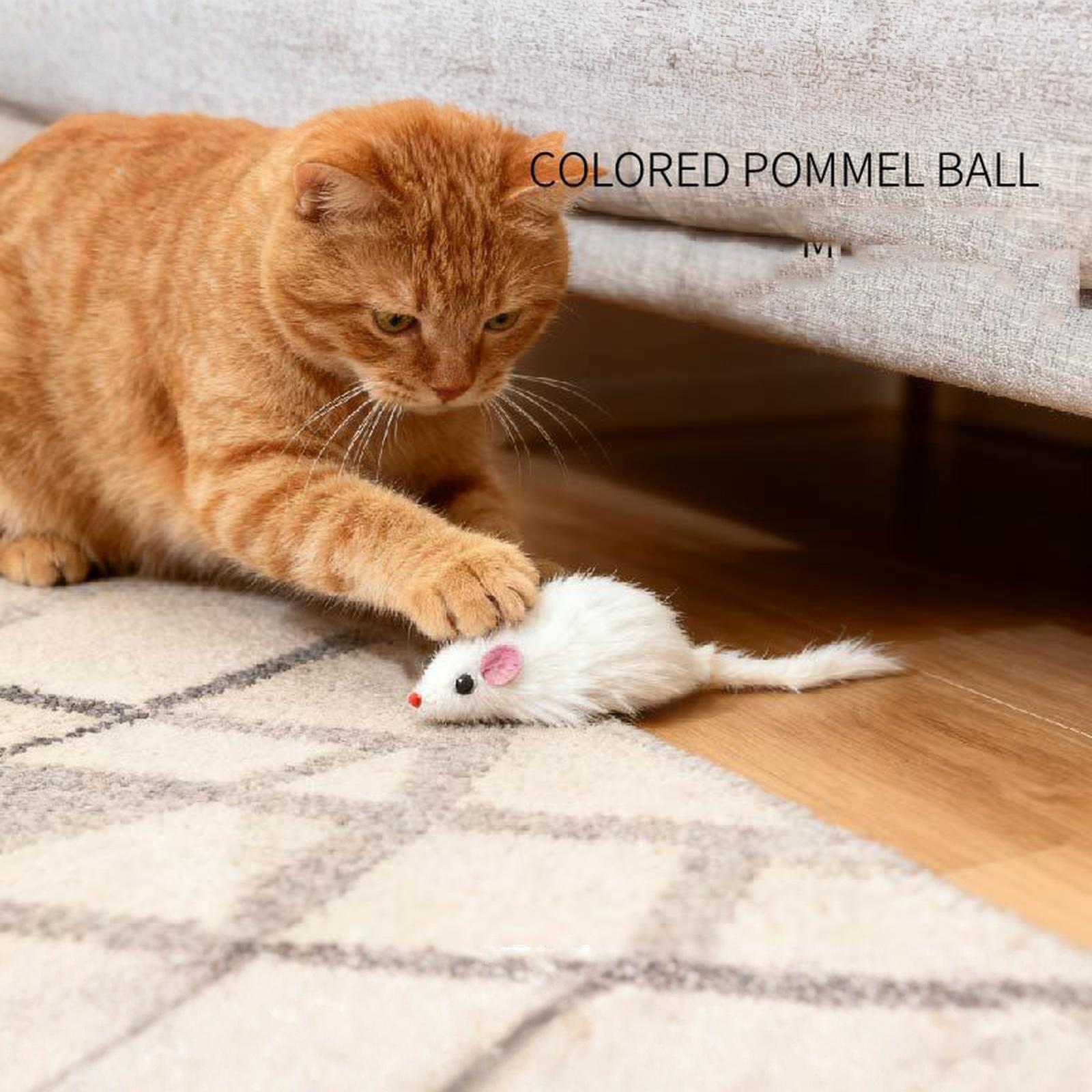 Interactive Toy 6.3” Realistic Size Furry Rattle Mouse Without Catnip Mice Toy for Bored Indoor Adult , Chew Toy Self Play one size
Interactive Toy 6.3” Realistic Size Furry Rattle Mouse Without Catnip Mice Toy for Bored Indoor Adult , Chew Toy Self Play one size