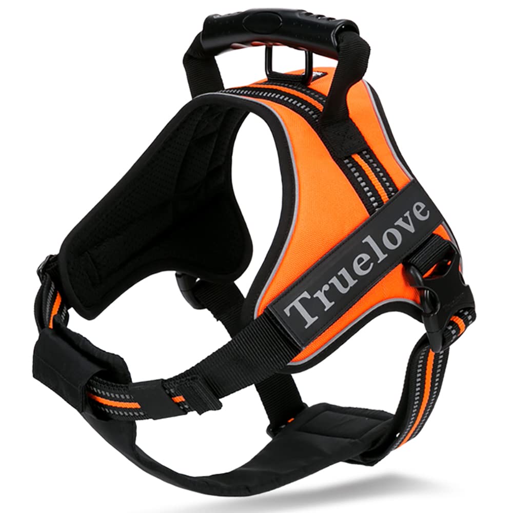 Рай 2WAY Собака Официальный Японский Собака Легко Надевать Нежный на 3M Светоотражающий Популярный Шлейка J&C, Магазин, Шлейка, Форма восьмерки, на, Горло, оранжевый
Рай 2WAY Собака Официальный Японский Собака Легко Надевать Нежный на 3M Светоотражающий Популярный Шлейка J&C, Магазин, Шлейка, Форма восьмерки, на, Горло, оранжевый