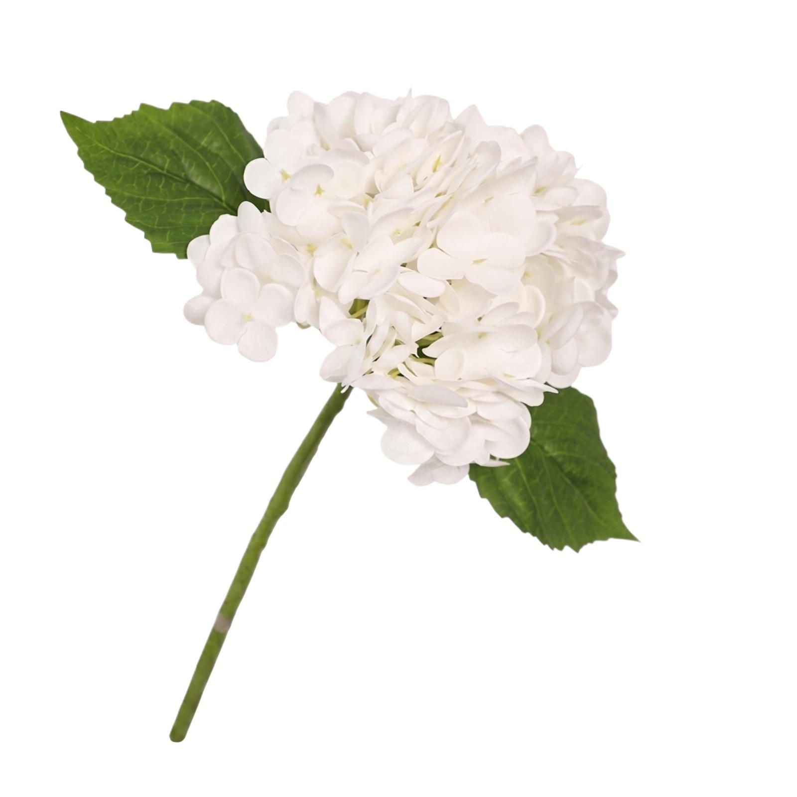 Artificial Hydrangea Flower Medium Size Faux Floral Stem for Porch Garden Yard Wedding Decoration Home Arrangement Display One Size білий
Artificial Hydrangea Flower Medium Size Faux Floral Stem for Porch Garden Yard Wedding Decoration Home Arrangement Display One Size білий