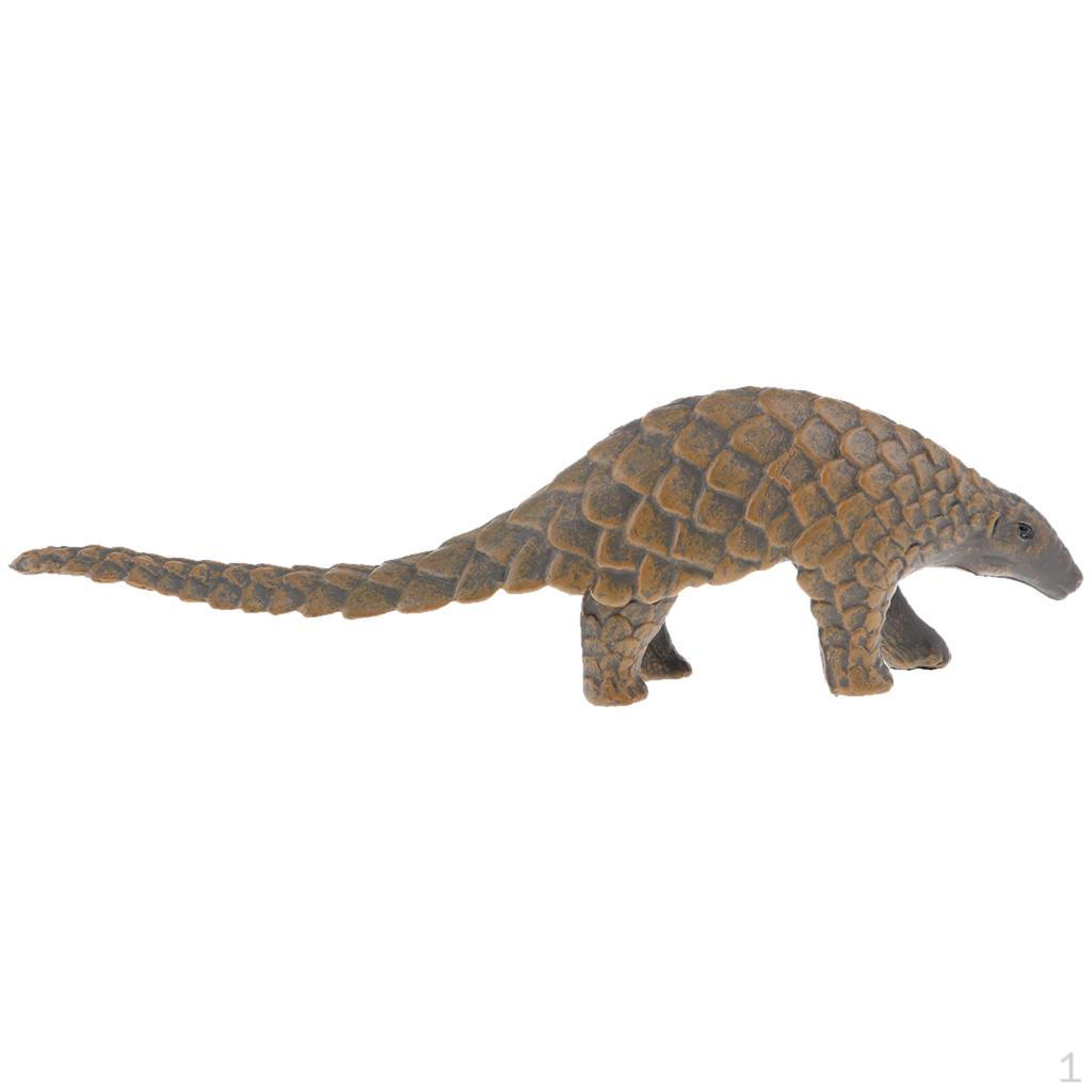 Simulation Pentadactyla Figure Animal Model Home Ornament kids children toy
Simulation Pentadactyla Figure Animal Model Home Ornament kids children toy