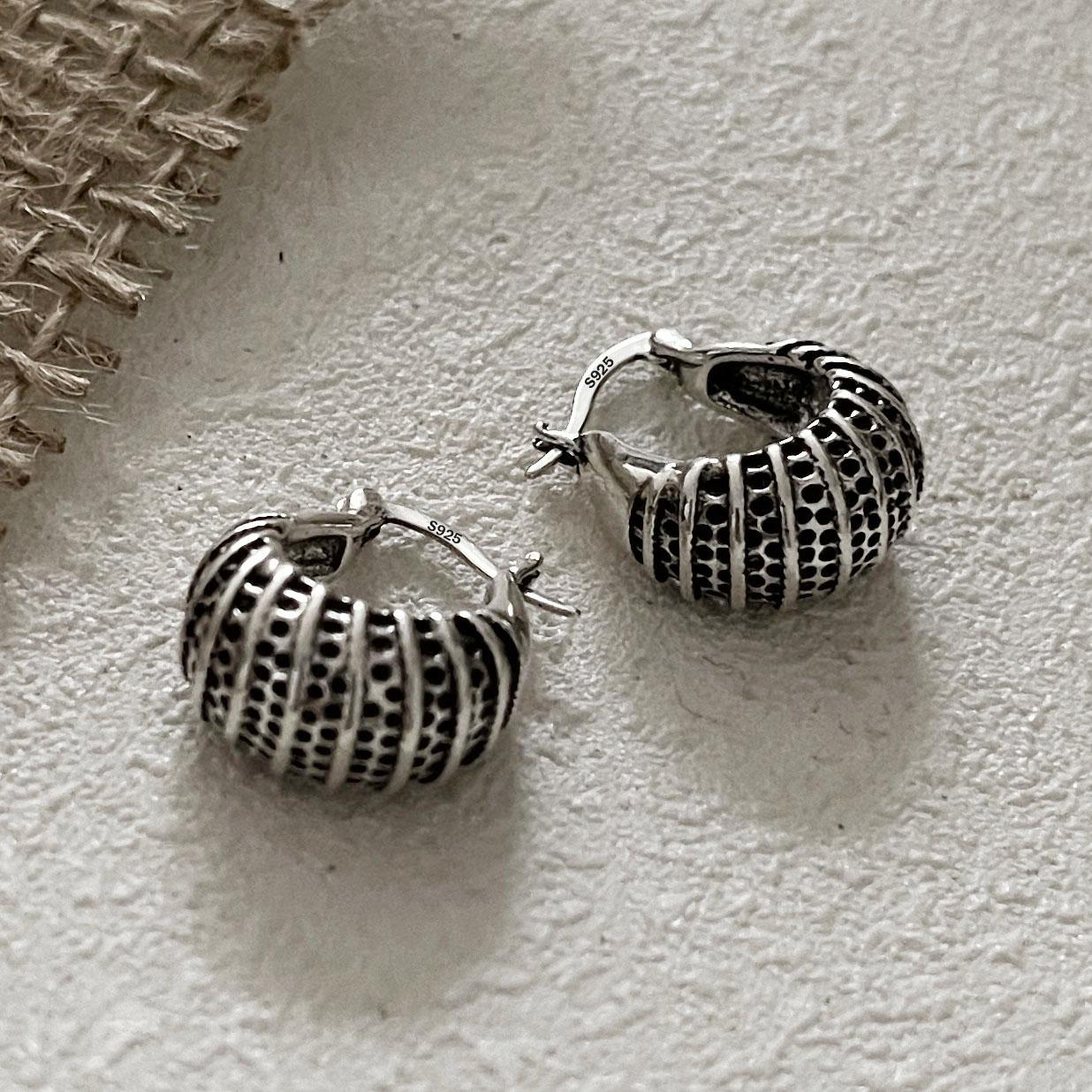 BF CLUB 925 Sterling Silver Earrings For Women Trendy Retro Strip Earring Jewelry Prevent Allergy Party Accessories
BF CLUB 925 Sterling Silver Earrings For Women Trendy Retro Strip Earring Jewelry Prevent Allergy Party Accessories