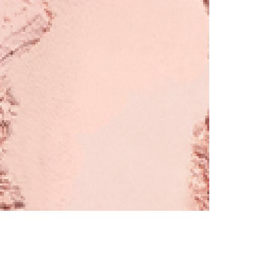 Dinto Blurfinish All That Moments Blusher 10 shades 508 Little Alcott
Dinto Blurfinish All That Moments Blusher 10 shades 508 Little Alcott