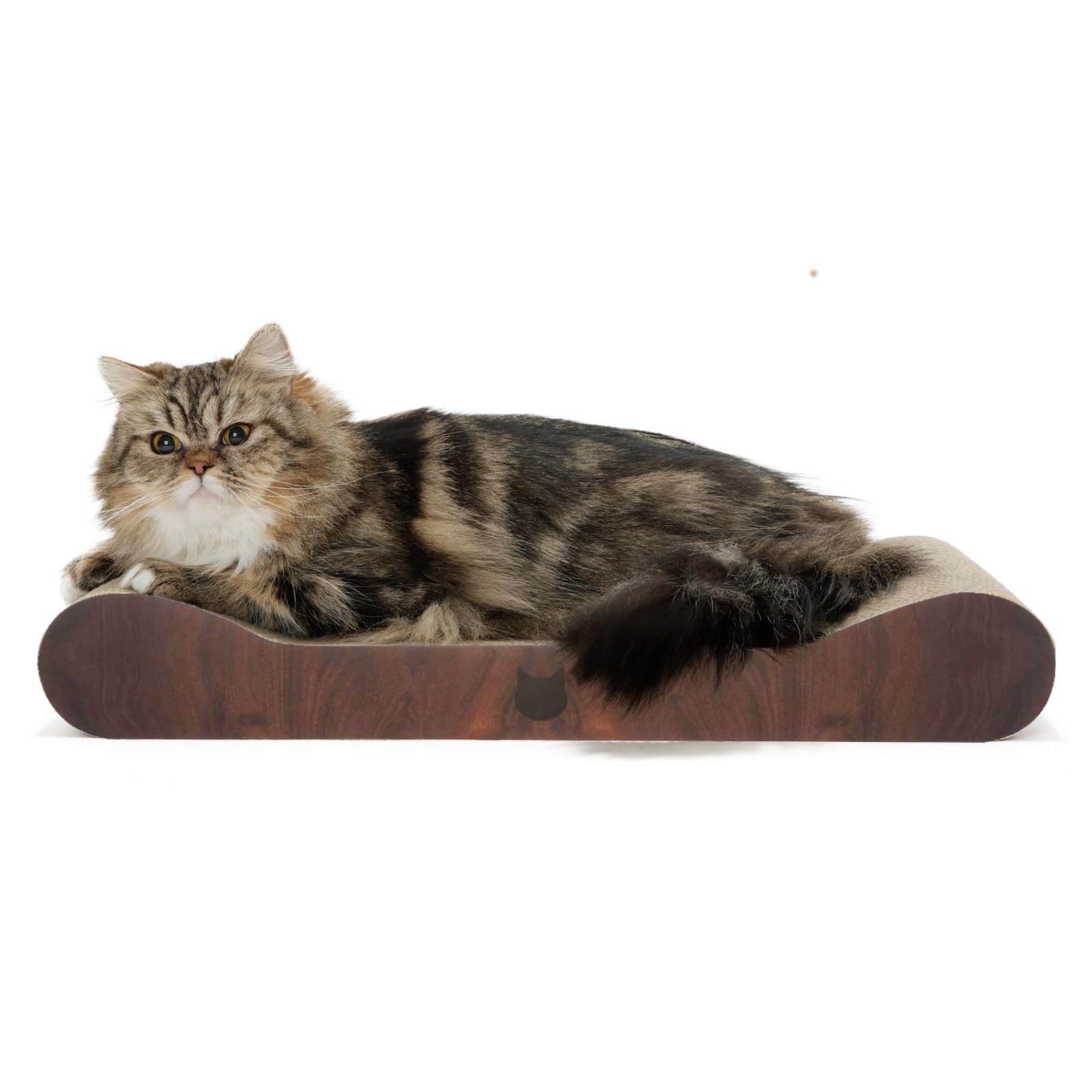 от Amazon Nekoichi Точилка для ногтей Balibari Bed Lounge темно-коричневого цвета
от Amazon Nekoichi Точилка для ногтей Balibari Bed Lounge темно-коричневого цвета