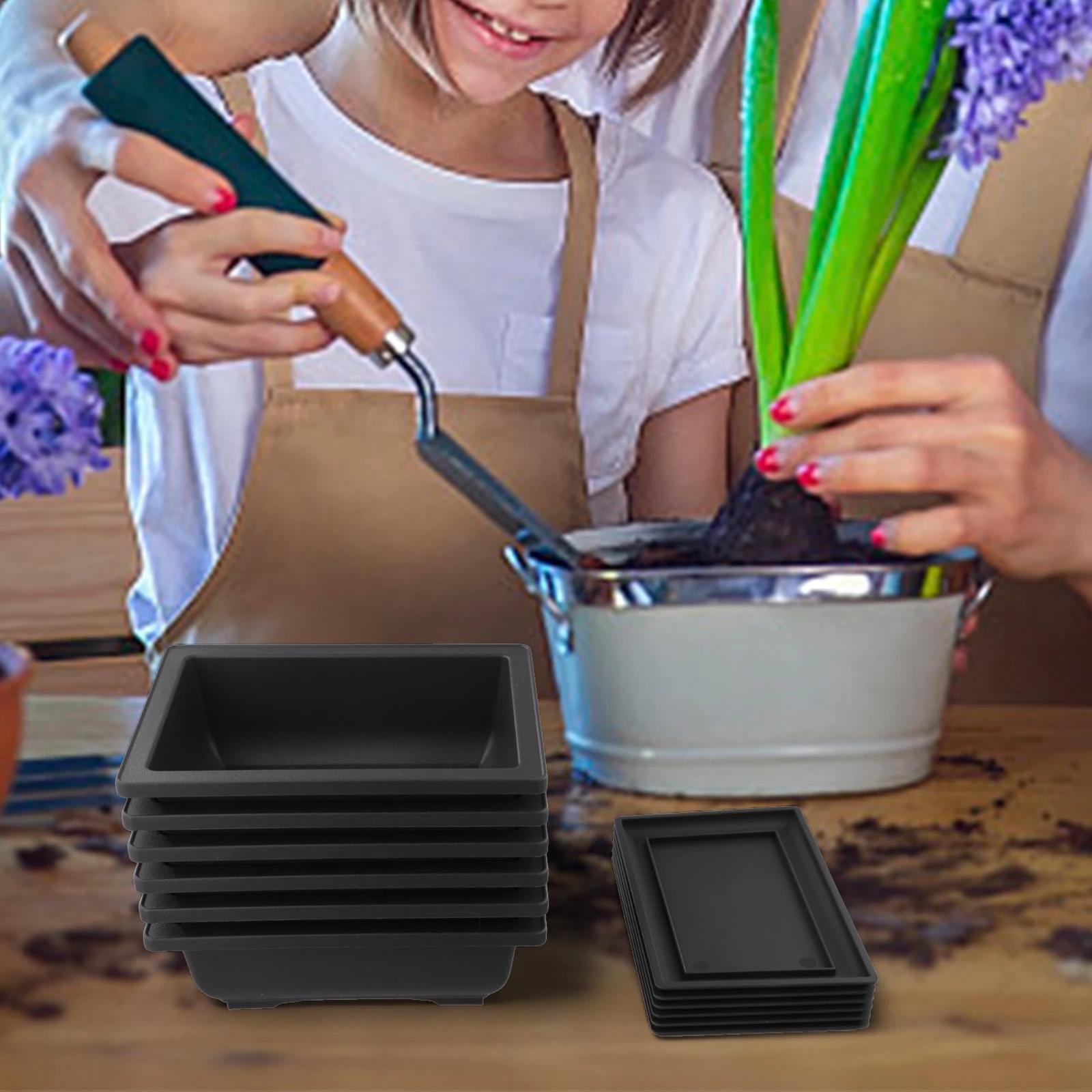 6 Pieces Bonsai Pot Drainage System Flower Pot Purple Flower Pot Drainage System Versatile Usage Home Decor Pot China Mainland
6 Pieces Bonsai Pot Drainage System Flower Pot Purple Flower Pot Drainage System Versatile Usage Home Decor Pot China Mainland