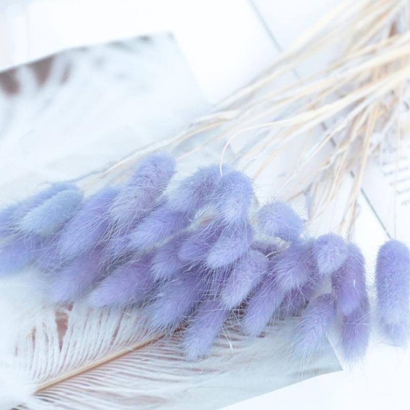 20 шт. сушеных цветов, заячий хвост, трава, пучок, настоящий букет для реквизита для фотосъемки, цветы, сделай сам, домашний свадебный декор
20 шт. сушеных цветов, заячий хвост, трава, пучок, настоящий букет для реквизита для фотосъемки, цветы, сделай сам, домашний свадебный декор