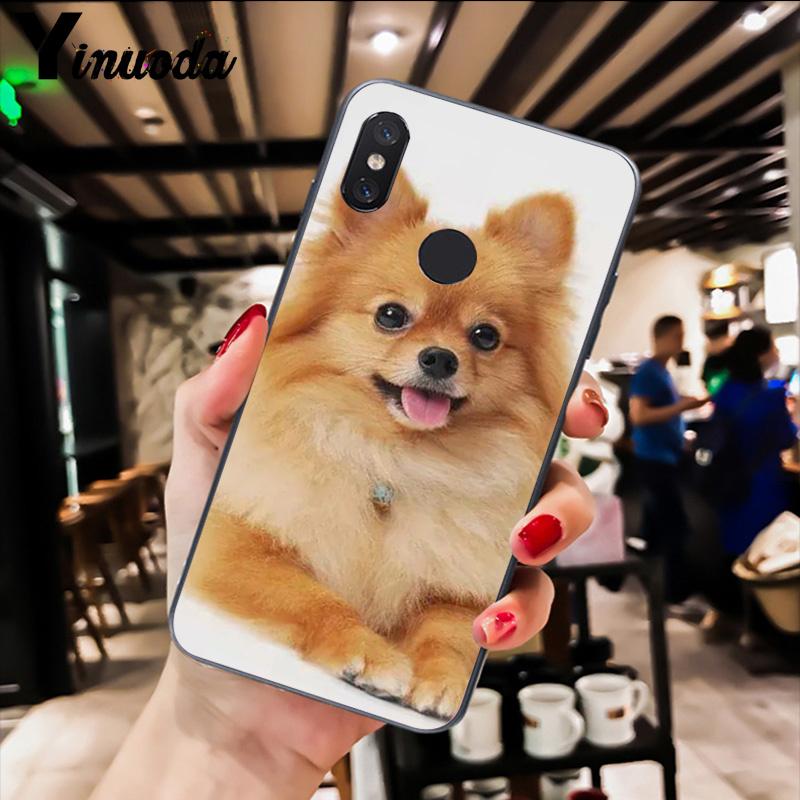 Yinuoda Pomeranian dogs dog Design Phone Case for Xiaomi Redm4X 6A 5A 7A Redmi5 5Plus Note8 8Pro 7 mi A1 A2Lite Redmi Note7
Yinuoda Pomeranian dogs dog Design Phone Case for Xiaomi Redm4X 6A 5A 7A Redmi5 5Plus Note8 8Pro 7 mi A1 A2Lite Redmi Note7