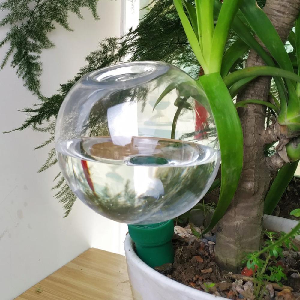 500ML Automatic Watering Device High-capacity Watering Balls Devices Useful Watering Spike Garden
500ML Automatic Watering Device High-capacity Watering Balls Devices Useful Watering Spike Garden