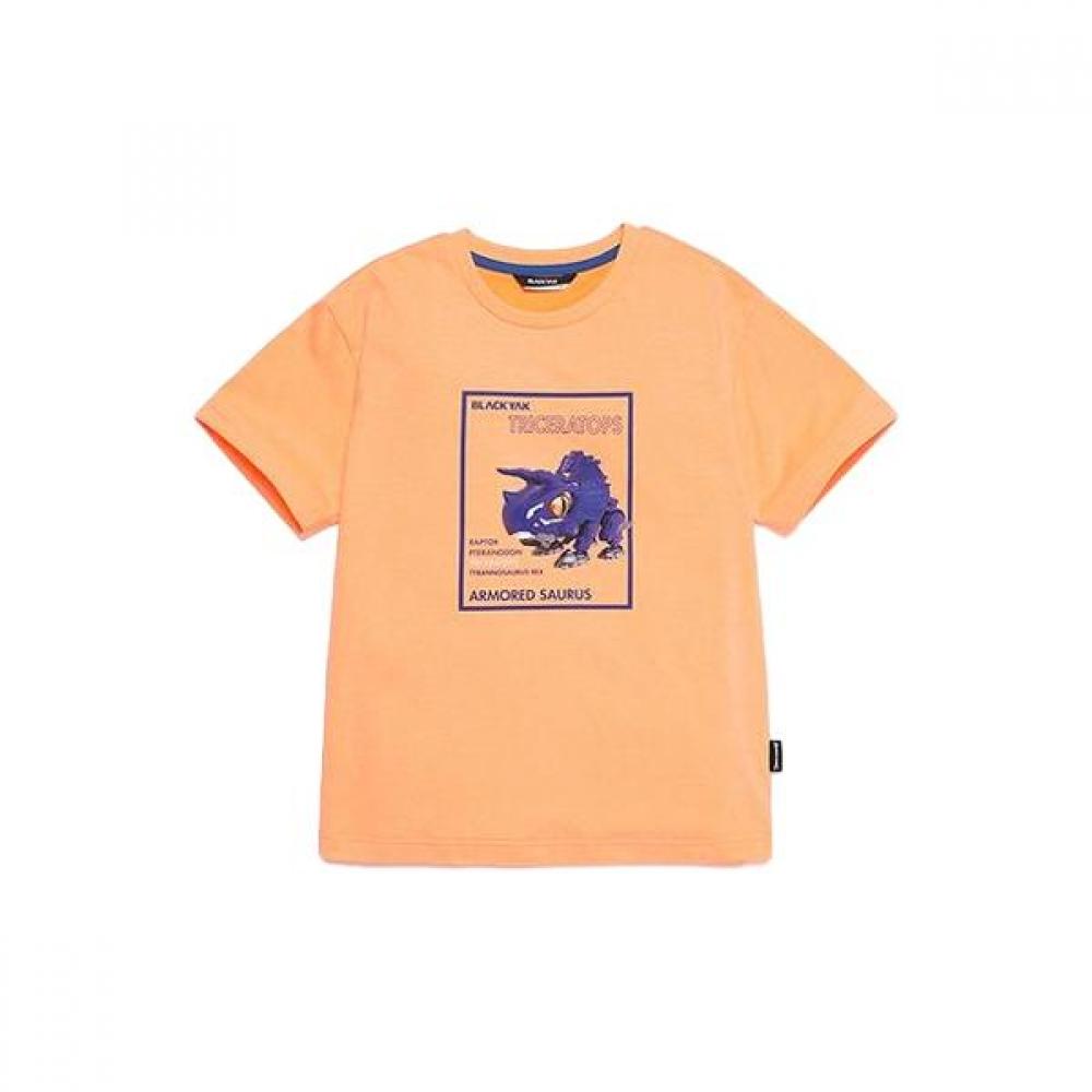 Футболка Blackyak Kids Armored Dinosaur Armor T r1bkTsm2942 Su 1BKTSM2942-SU/130
Футболка Blackyak Kids Armored Dinosaur Armor T r1bkTsm2942 Su 1BKTSM2942-SU/130