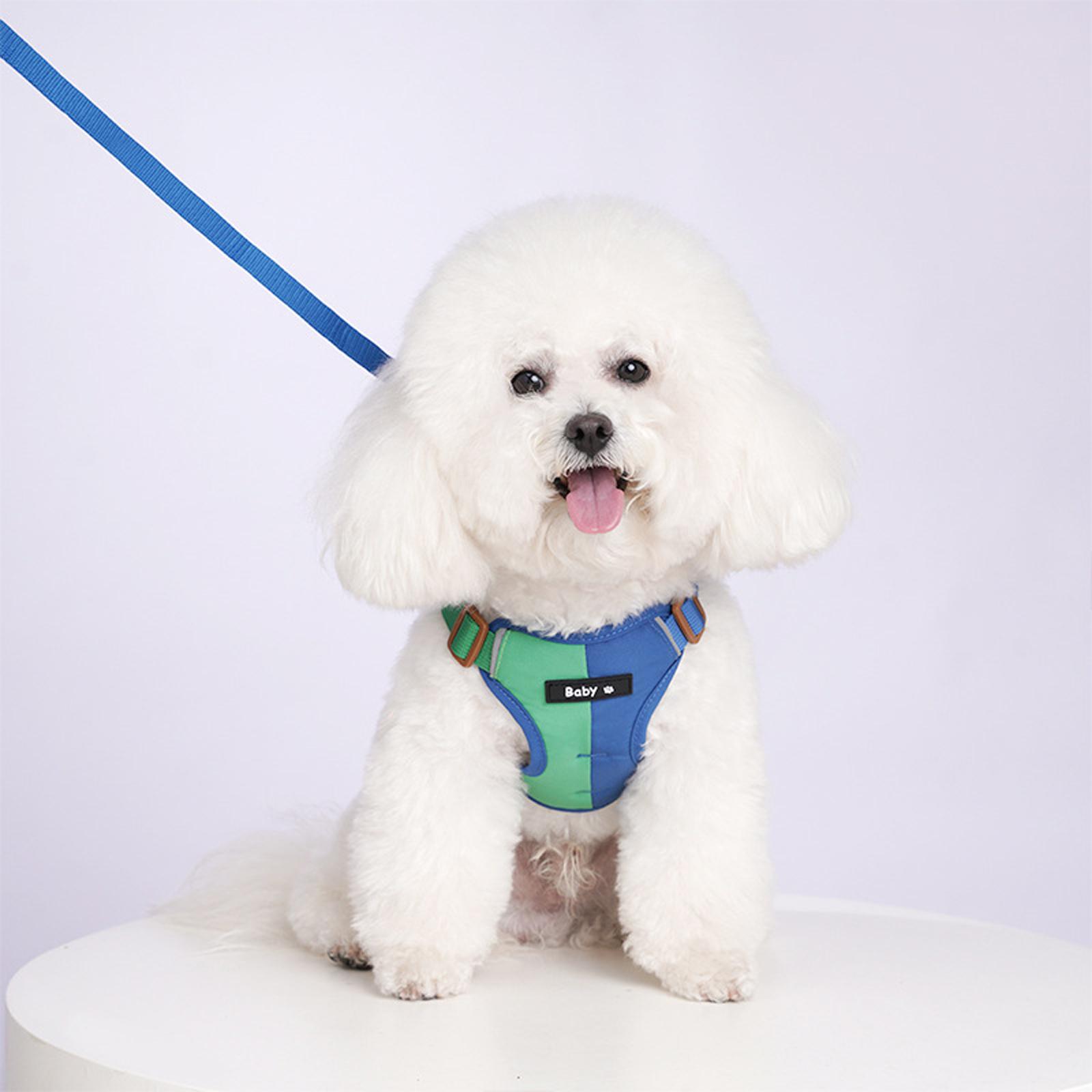 Pet Dog Leash Set Small Medium Dog Vest Breathable Puppy Chest Strap French Chihuahua Pet XS синий
Pet Dog Leash Set Small Medium Dog Vest Breathable Puppy Chest Strap French Chihuahua Pet XS синий