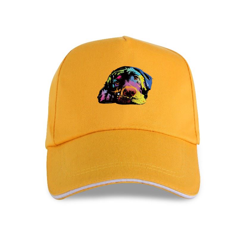 Новая кепка, шляпа, лежачая лабораторная кепка лабрадора-ретривера, щенка, собаки, любителей животных, летние топы с принтом, повседневная брендовая бейсболка унисекс
Новая кепка, шляпа, лежачая лабораторная кепка лабрадора-ретривера, щенка, собаки, любителей животных, летние топы с принтом, повседневная брендовая бейсболка унисекс