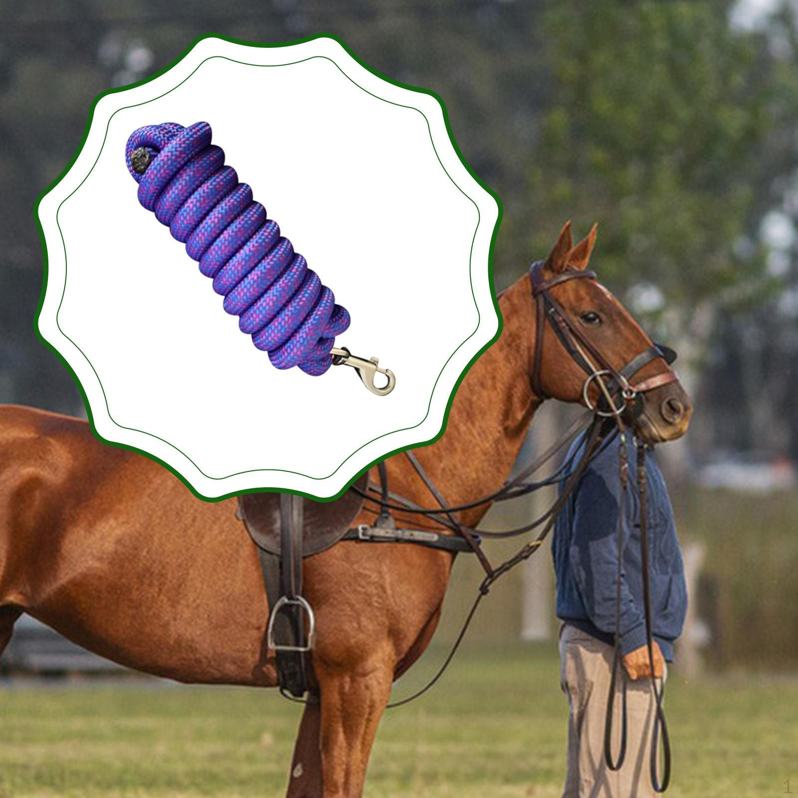 Rope Horse Supply 98.43inch Equestrian Accessory Fastened Lunge Training for Playing Daily Use Blue Pink
Rope Horse Supply 98.43inch Equestrian Accessory Fastened Lunge Training for Playing Daily Use Blue Pink