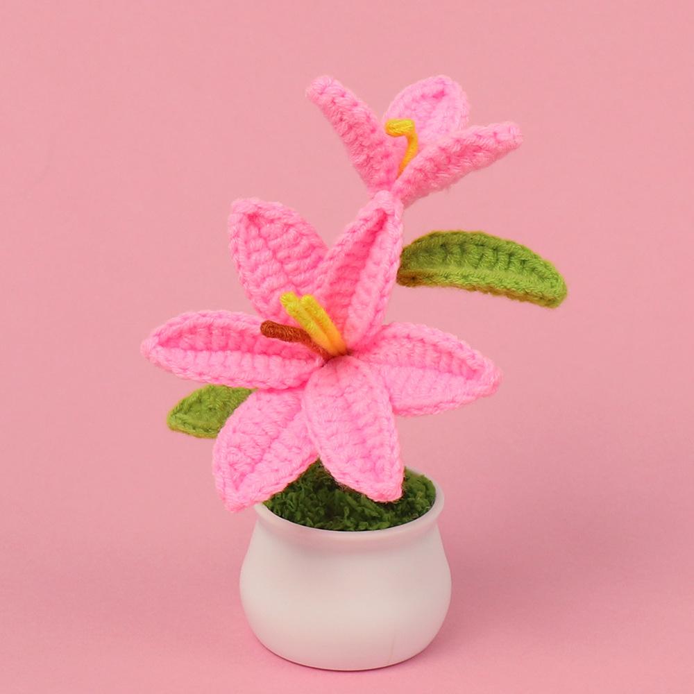 1Pc Hand-crocheted lily flower small potted plant simulation mini home desk car ornament gift
1Pc Hand-crocheted lily flower small potted plant simulation mini home desk car ornament gift