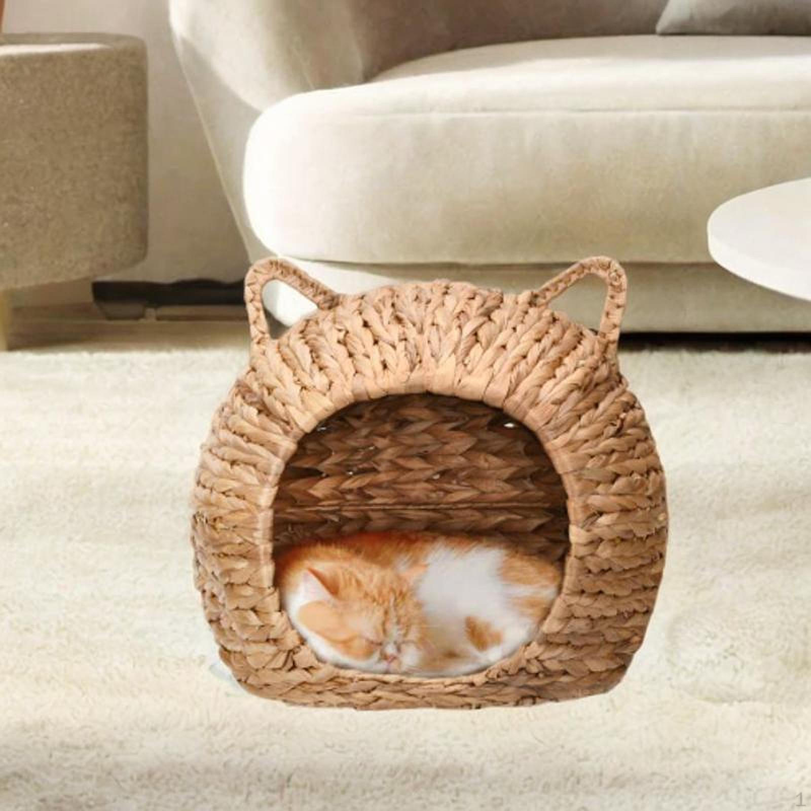 Кошачий домик для домашних кошек Pet Four Seasons Handmade Furniture Protector Supplies Lounge
Кошачий домик для домашних кошек Pet Four Seasons Handmade Furniture Protector Supplies Lounge
