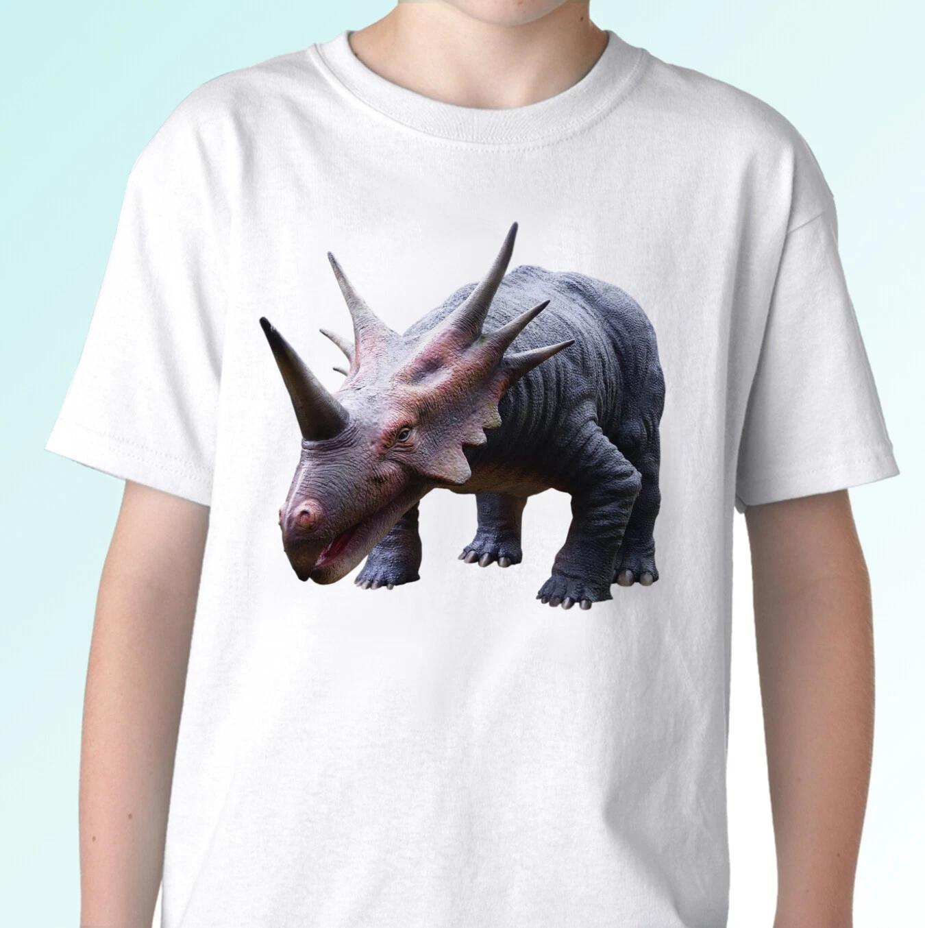 Dinosaur kids boys T-Shirt triceratops tee top animal gift s s kids baby sizes 130
Dinosaur kids boys T-Shirt triceratops tee top animal gift s s kids baby sizes 130