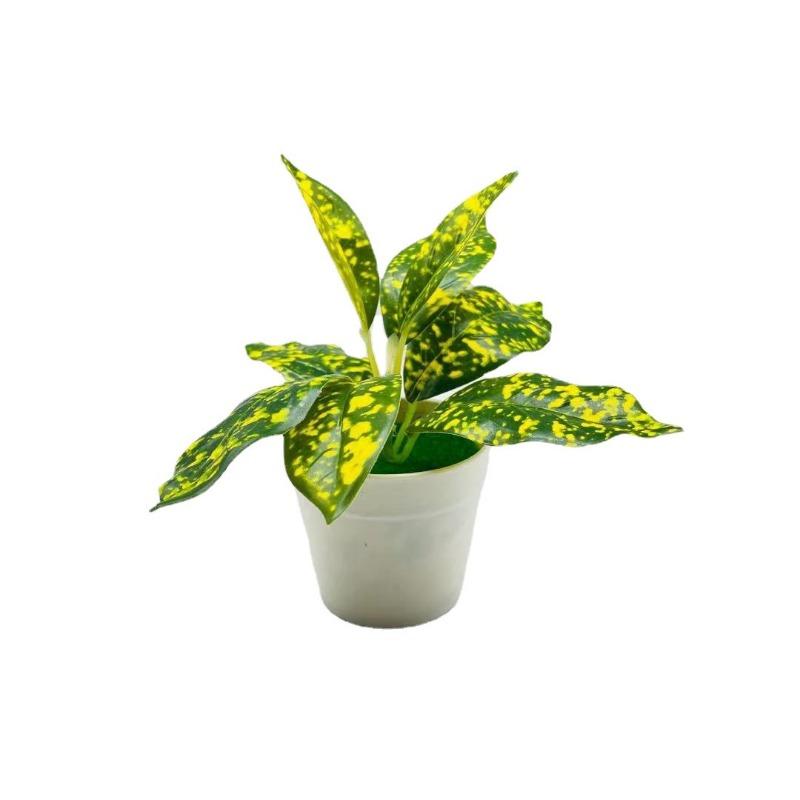 Искусственные зеленые растенияМаленькие горшечные растения Настольное украшение Искусственный цветок Бонсайи Искусственные цветущие растения Yellow dot leaf
Искусственные зеленые растенияМаленькие горшечные растения Настольное украшение Искусственный цветок Бонсайи Искусственные цветущие растения Yellow dot leaf