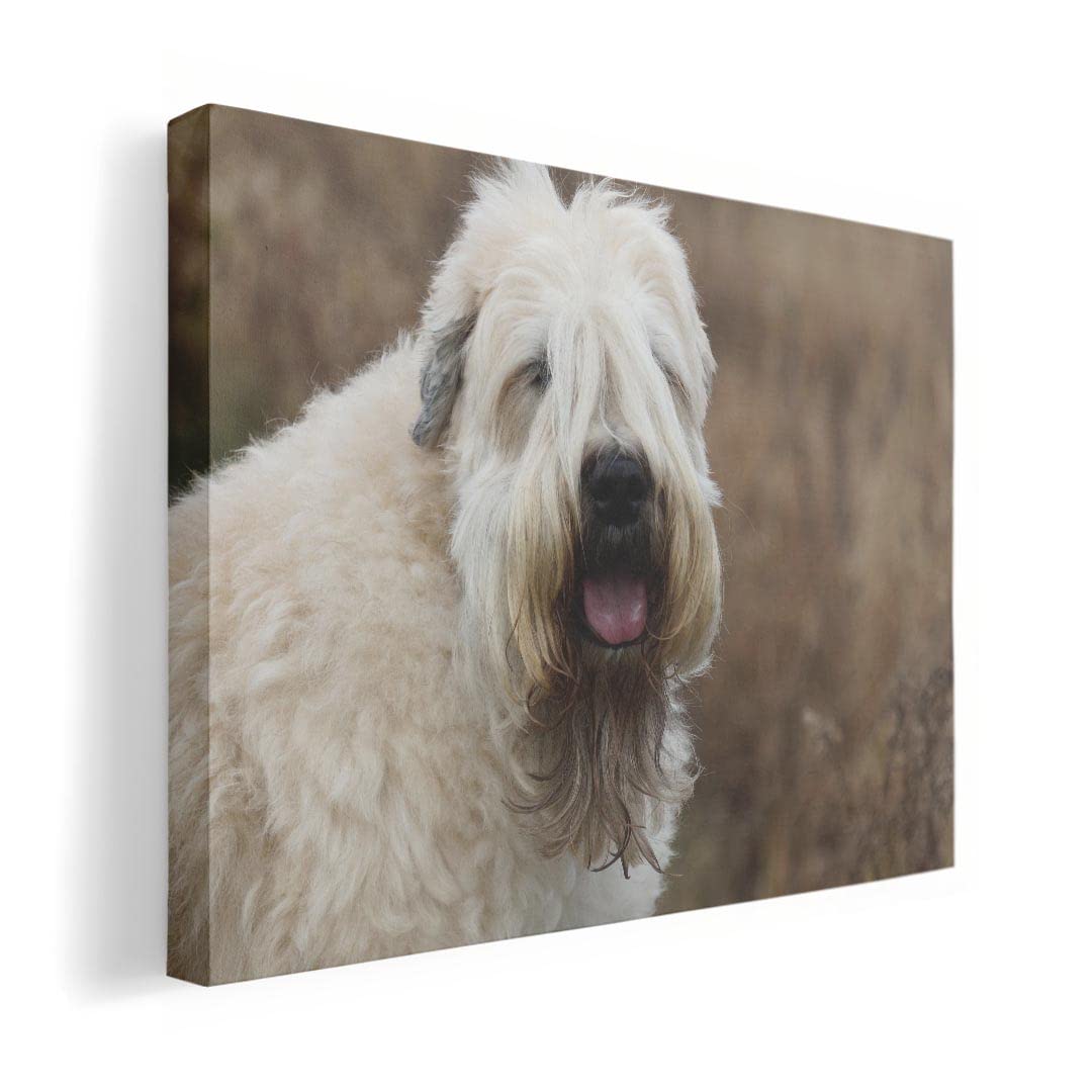 Art 420mm x Wall Wooden Stylish Interior Dog Panel, Painting, Decoration, igsticker, 297mm, A3, Photo, Hanging, Frame, Decor, 026086, Animal,
Art 420mm x Wall Wooden Stylish Interior Dog Panel, Painting, Decoration, igsticker, 297mm, A3, Photo, Hanging, Frame, Decor, 026086, Animal,