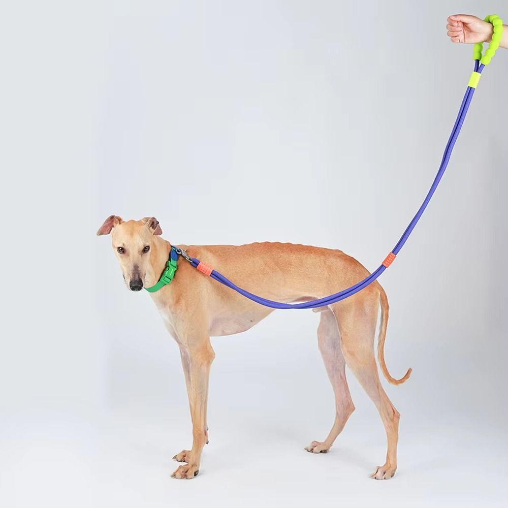 Foam Handle Dog Leash Candy Color Dog Chains Crossbody Rope Pet Traction Rope Jogging 120cm чорний
Foam Handle Dog Leash Candy Color Dog Chains Crossbody Rope Pet Traction Rope Jogging 120cm чорний