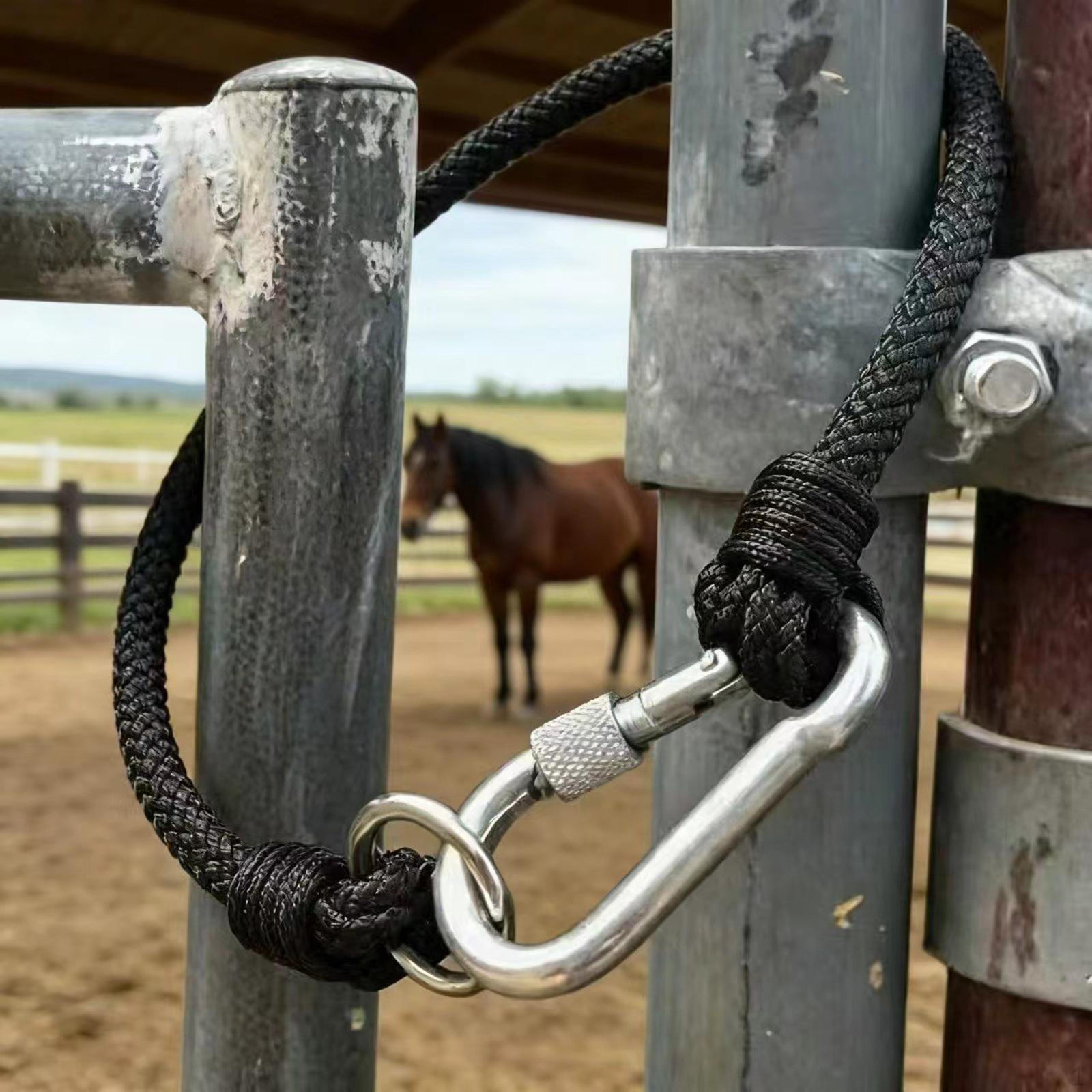 Equestrian Weaving Rope Buckle Easy to Use Anti Latch Outdoor Sports Practical Stable
Equestrian Weaving Rope Buckle Easy to Use Anti Latch Outdoor Sports Practical Stable
