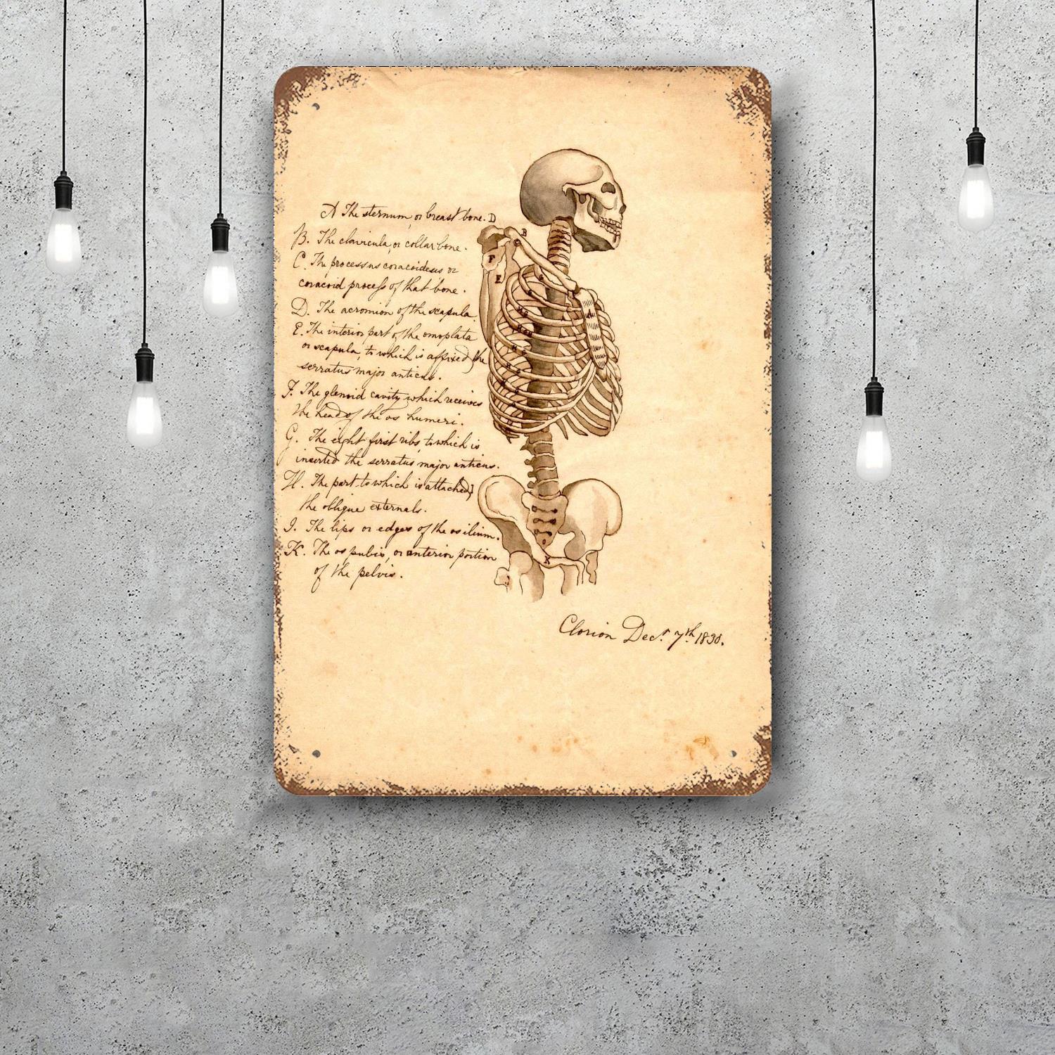 skeleton Vintage Tin Sign Home Decor Wall Decor Art Wall Mural Room Decoration Decor Retro Metal Sign Plate Bar Posters 20x30cm(7.8x11.8inch)
skeleton Vintage Tin Sign Home Decor Wall Decor Art Wall Mural Room Decoration Decor Retro Metal Sign Plate Bar Posters 20x30cm(7.8x11.8inch)
