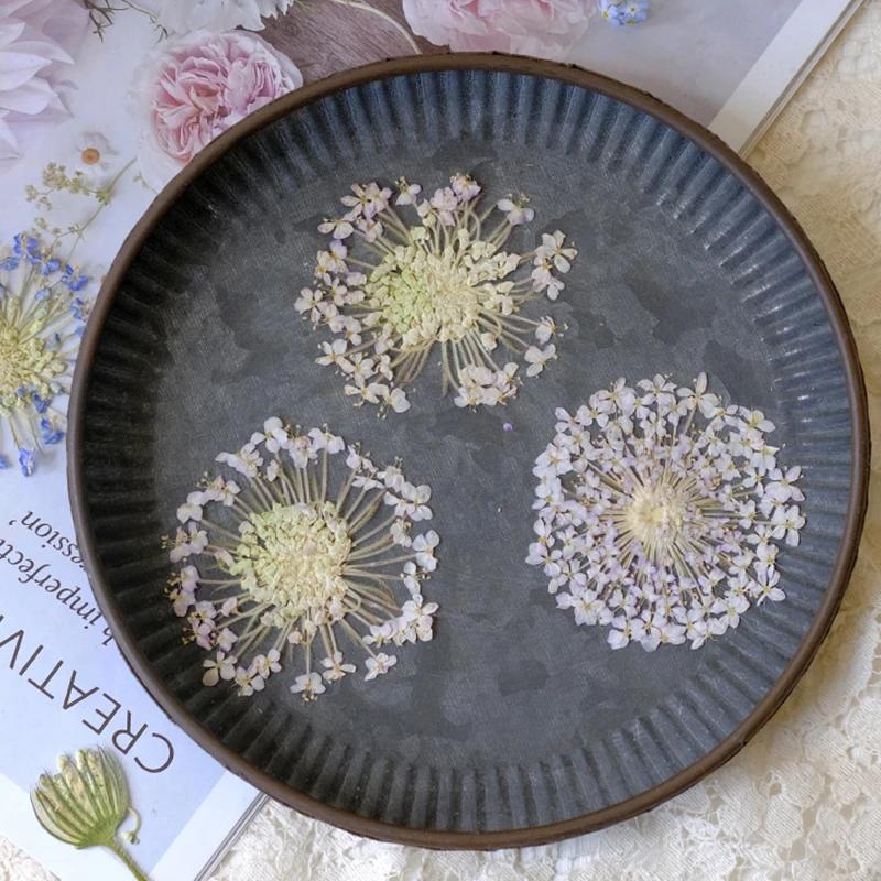 Wedding Pressed Flowers Bulk, Bridal Diary Embellishments Set 50Pcs
Wedding Pressed Flowers Bulk, Bridal Diary Embellishments Set 50Pcs