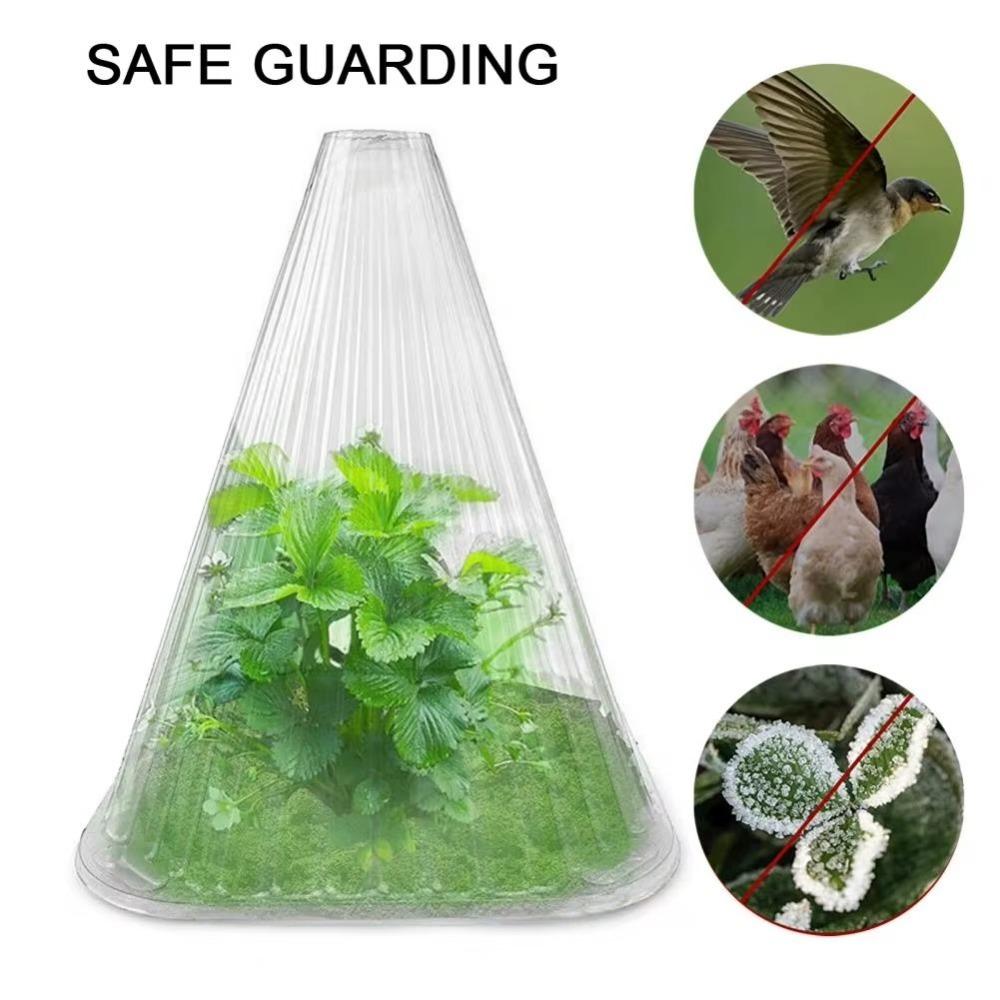 10PCS Plastic Cover Bell Plants Tent Translucent Square Plastic Cover Garden Supplies 
10PCS Plastic Cover Bell Plants Tent Translucent Square Plastic Cover Garden Supplies